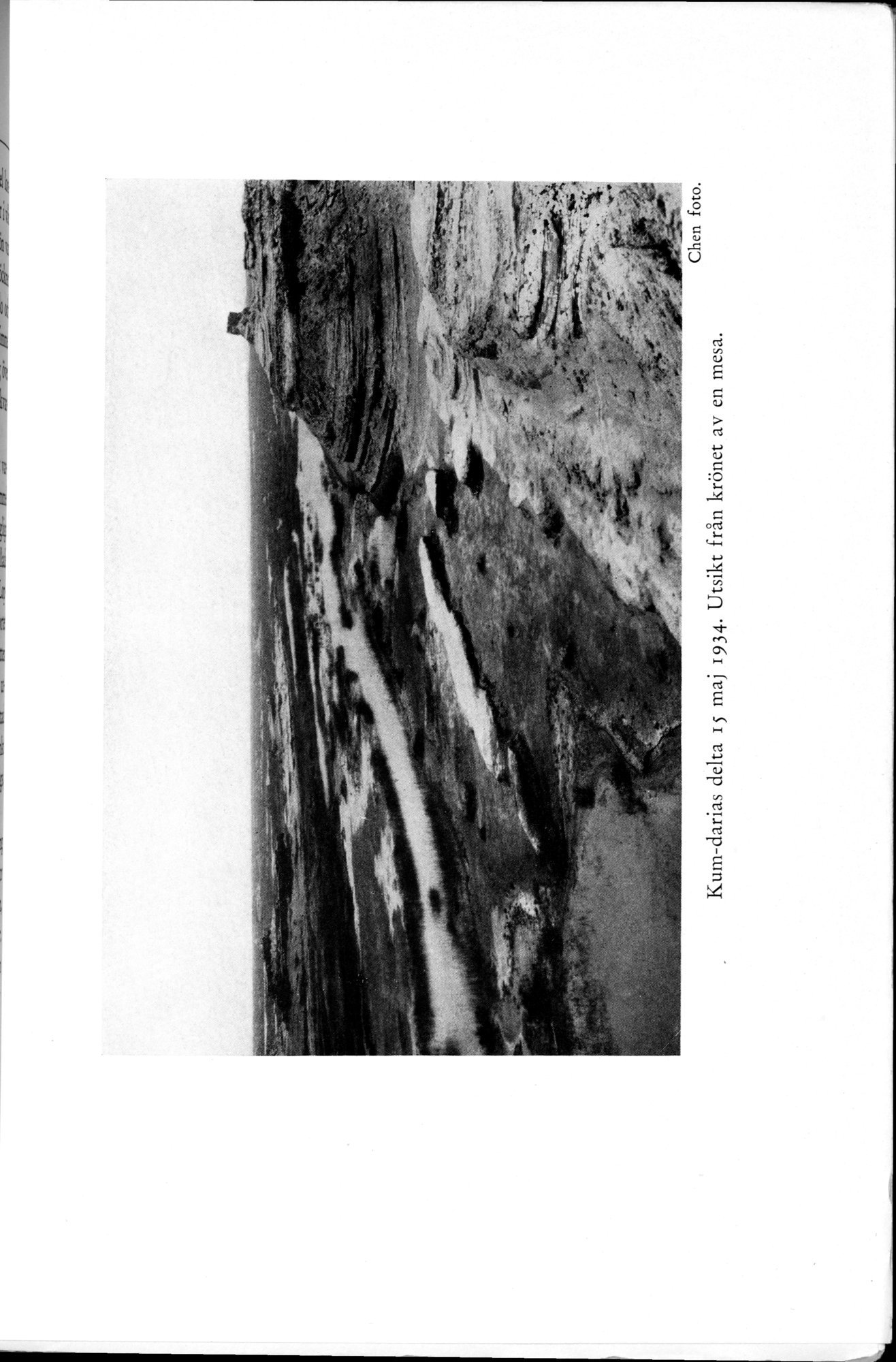 Den Vandrande Sjön : vol.1 / 193 ページ（白黒高解像度画像）