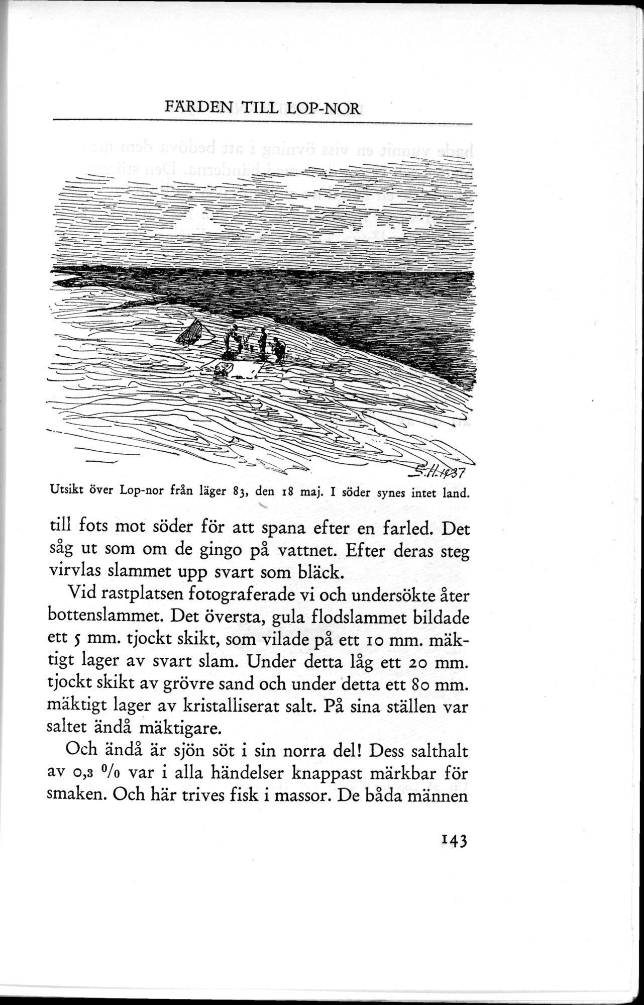Den Vandrande Sjön : vol.1 / 207 ページ（白黒高解像度画像）