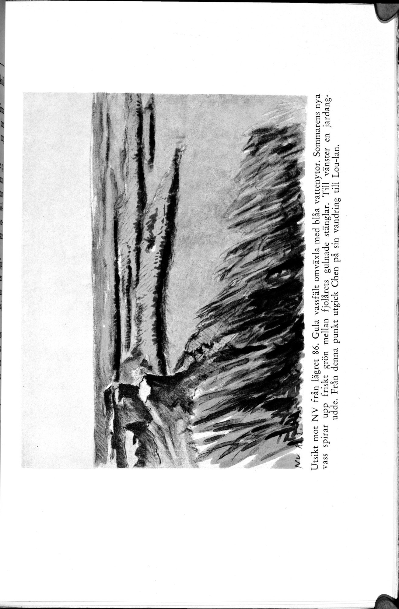 Den Vandrande Sjön : vol.1 / Page 237 (Grayscale High Resolution Image)