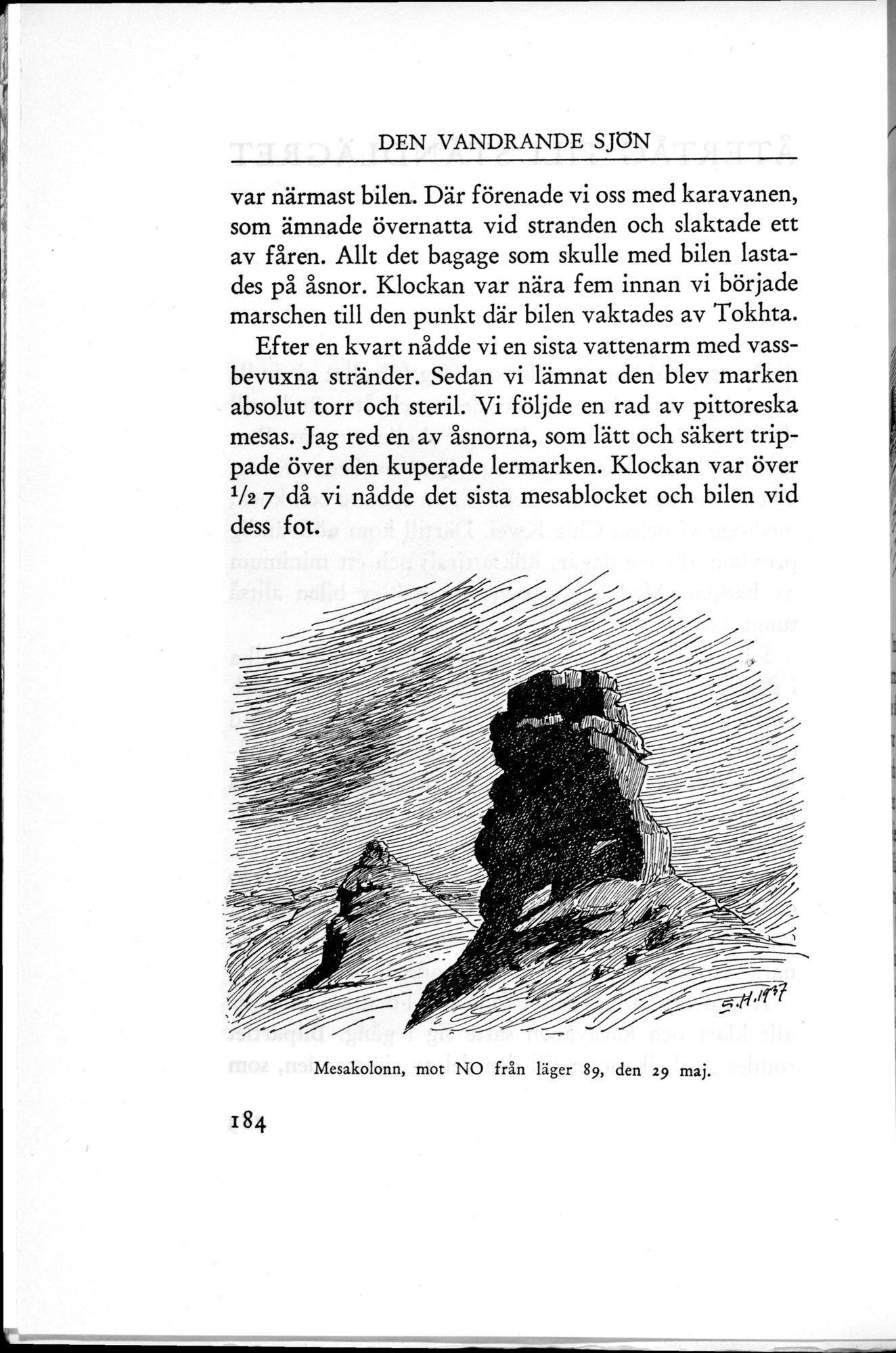 Den Vandrande Sjön : vol.1 / 254 ページ（白黒高解像度画像）