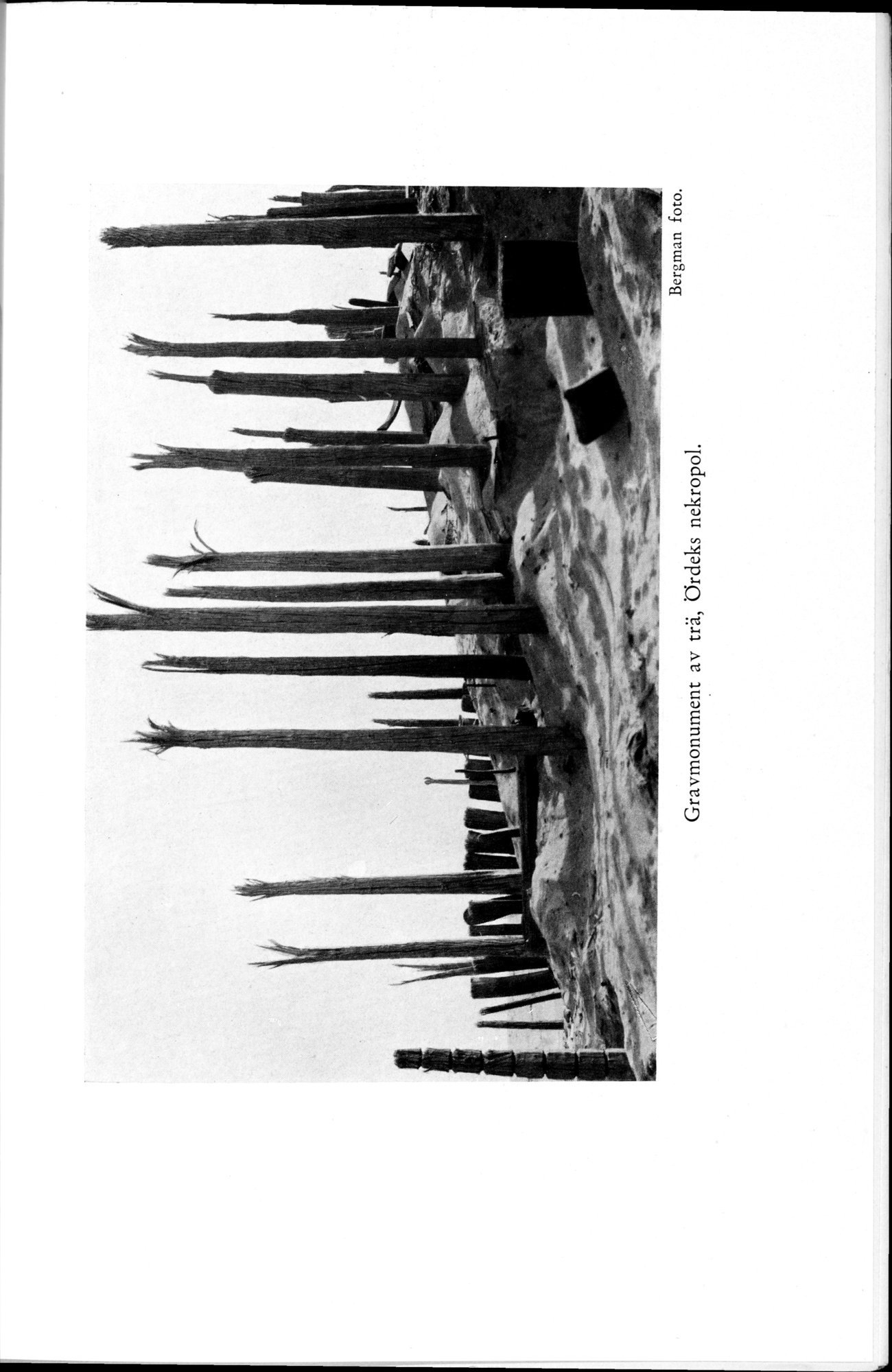 Den Vandrande Sjön : vol.1 / 285 ページ（白黒高解像度画像）