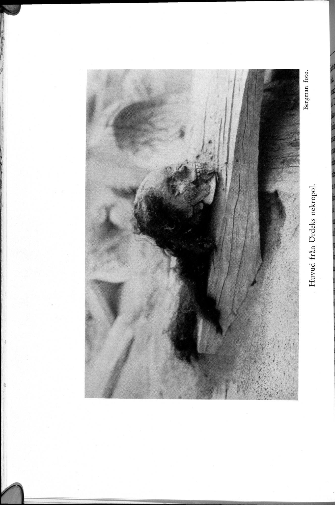 Den Vandrande Sjön : vol.1 / 286 ページ（白黒高解像度画像）