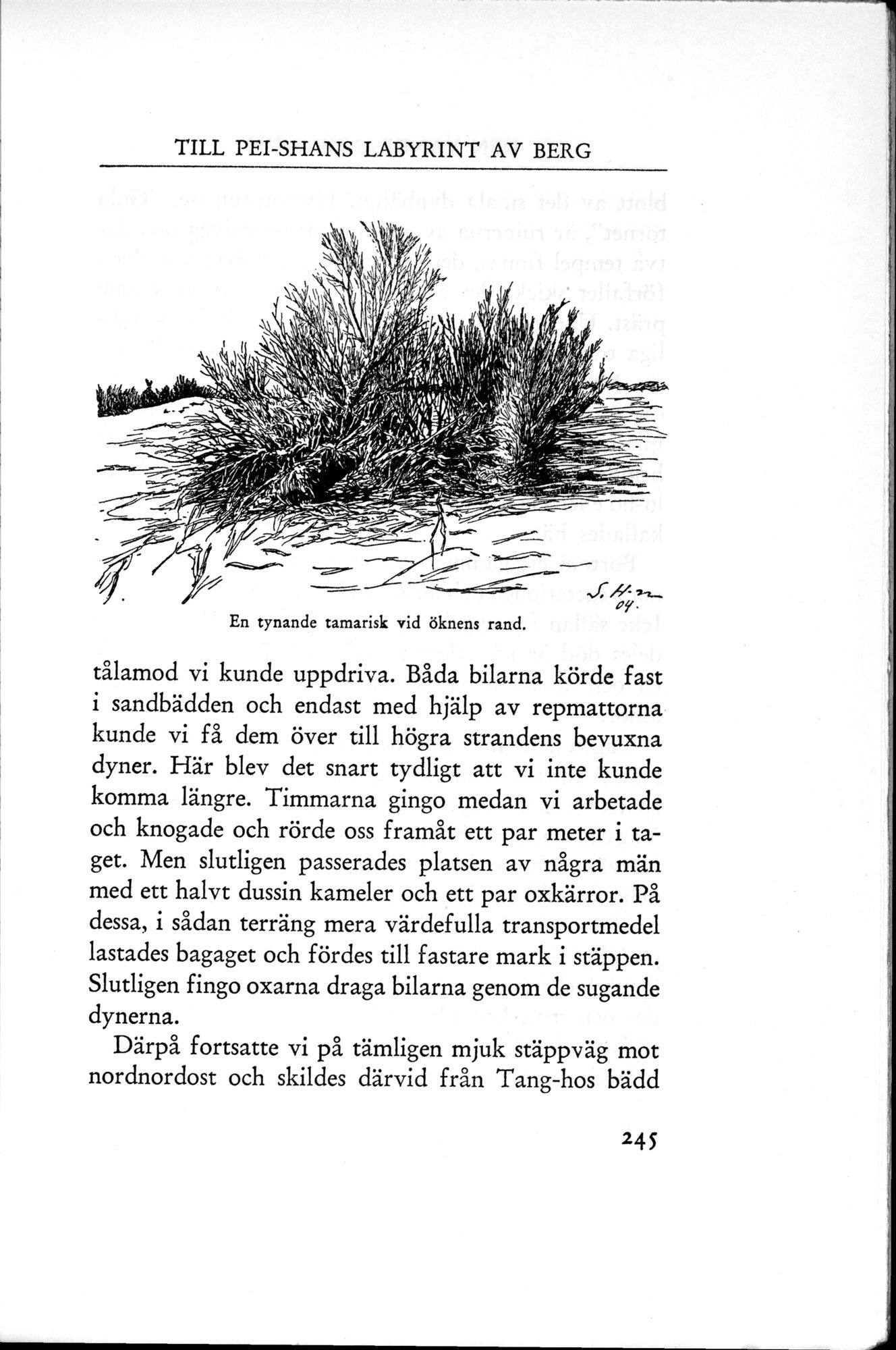 Den Vandrande Sjön : vol.1 / 329 ページ（白黒高解像度画像）