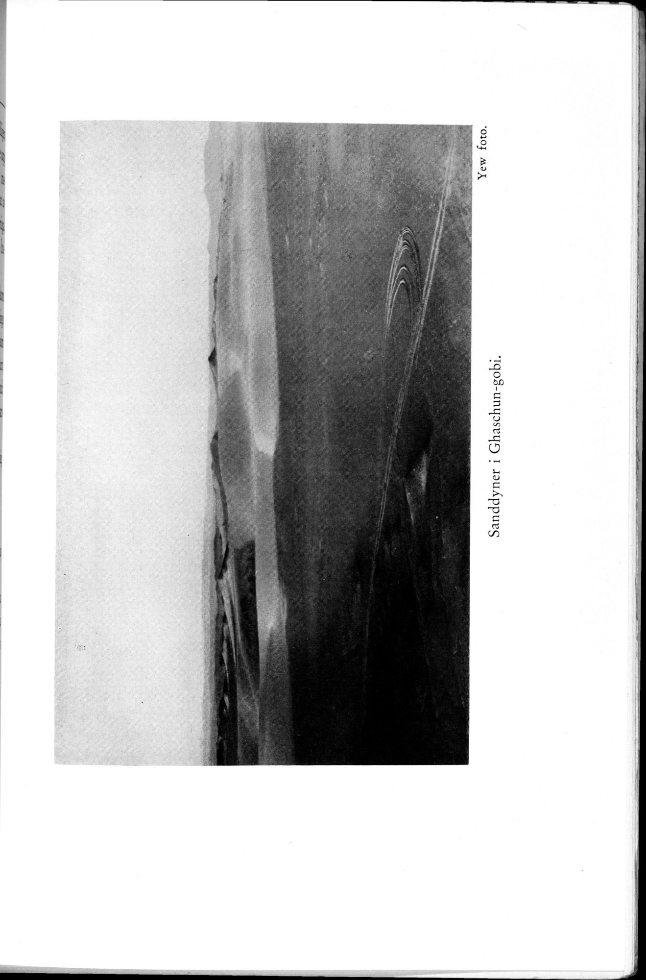 Den Vandrande Sjön : vol.1 / 341 ページ（白黒高解像度画像）