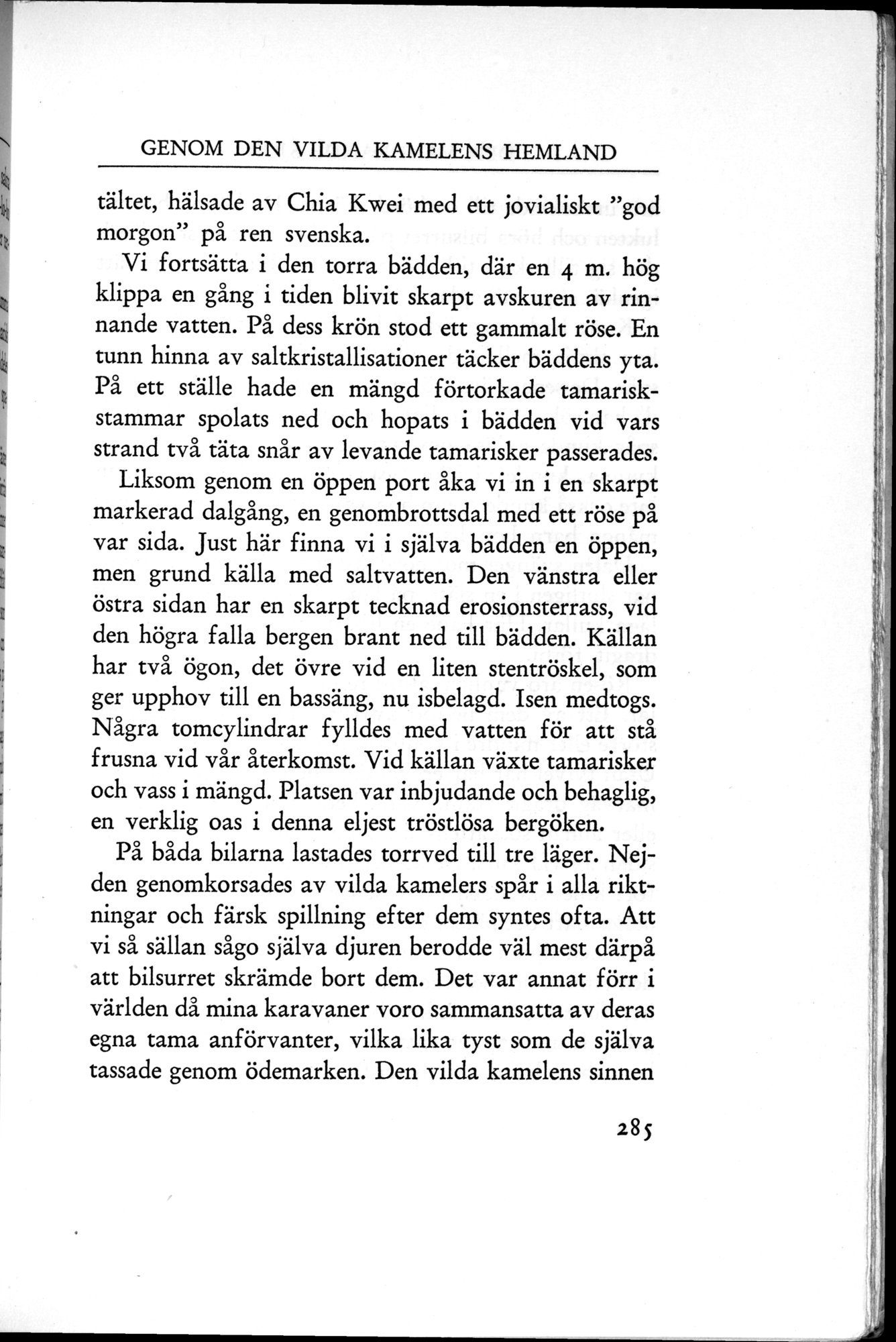 Den Vandrande Sjön : vol.1 / 371 ページ（白黒高解像度画像）
