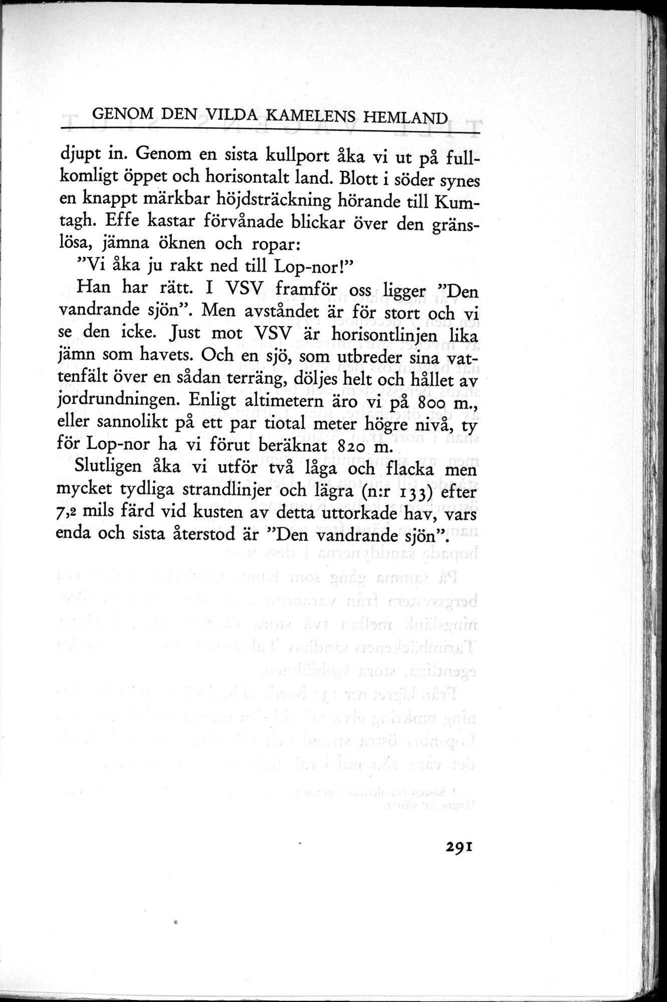 Den Vandrande Sjön : vol.1 / 377 ページ（白黒高解像度画像）