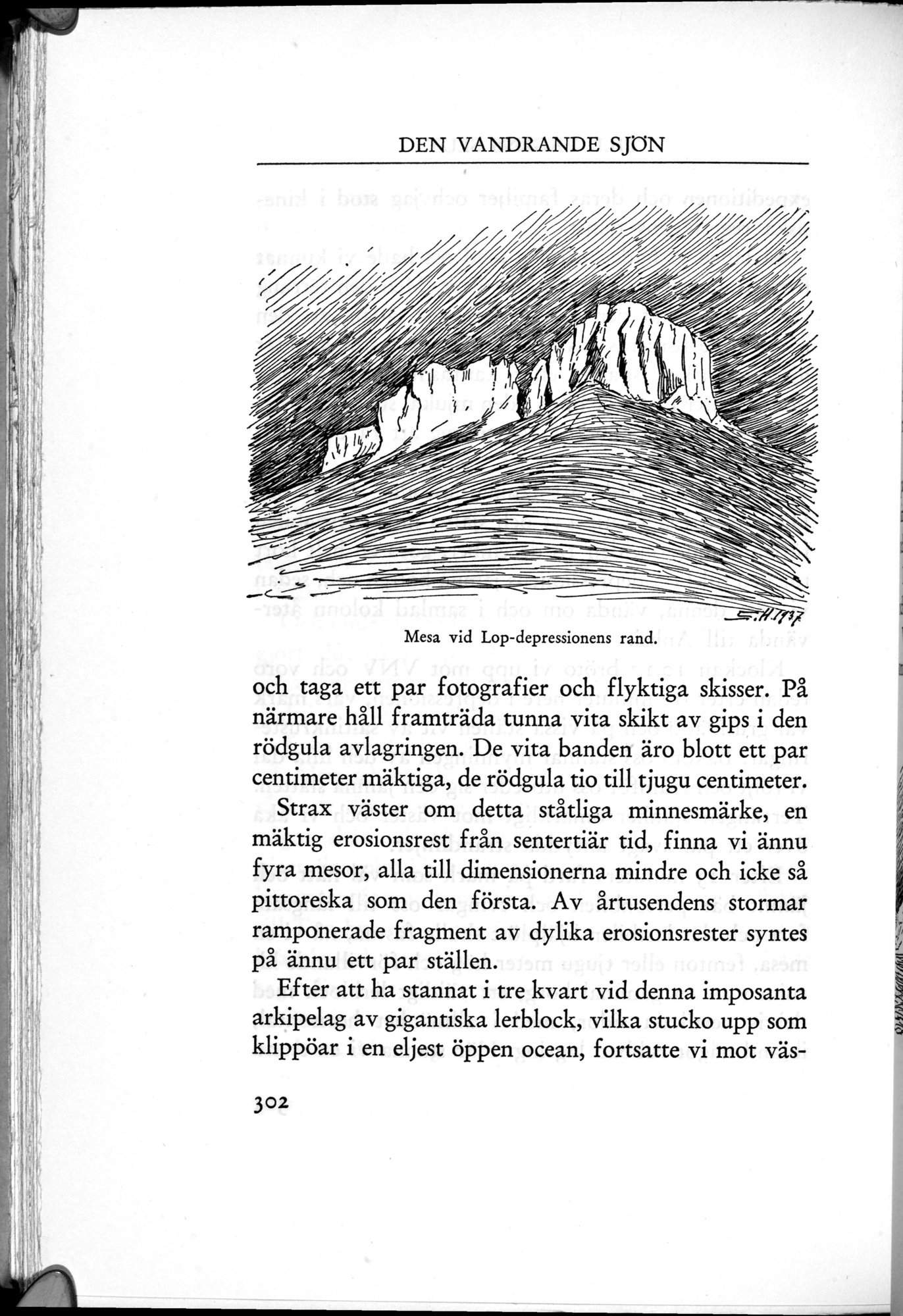 Den Vandrande Sjön : vol.1 / 388 ページ（白黒高解像度画像）