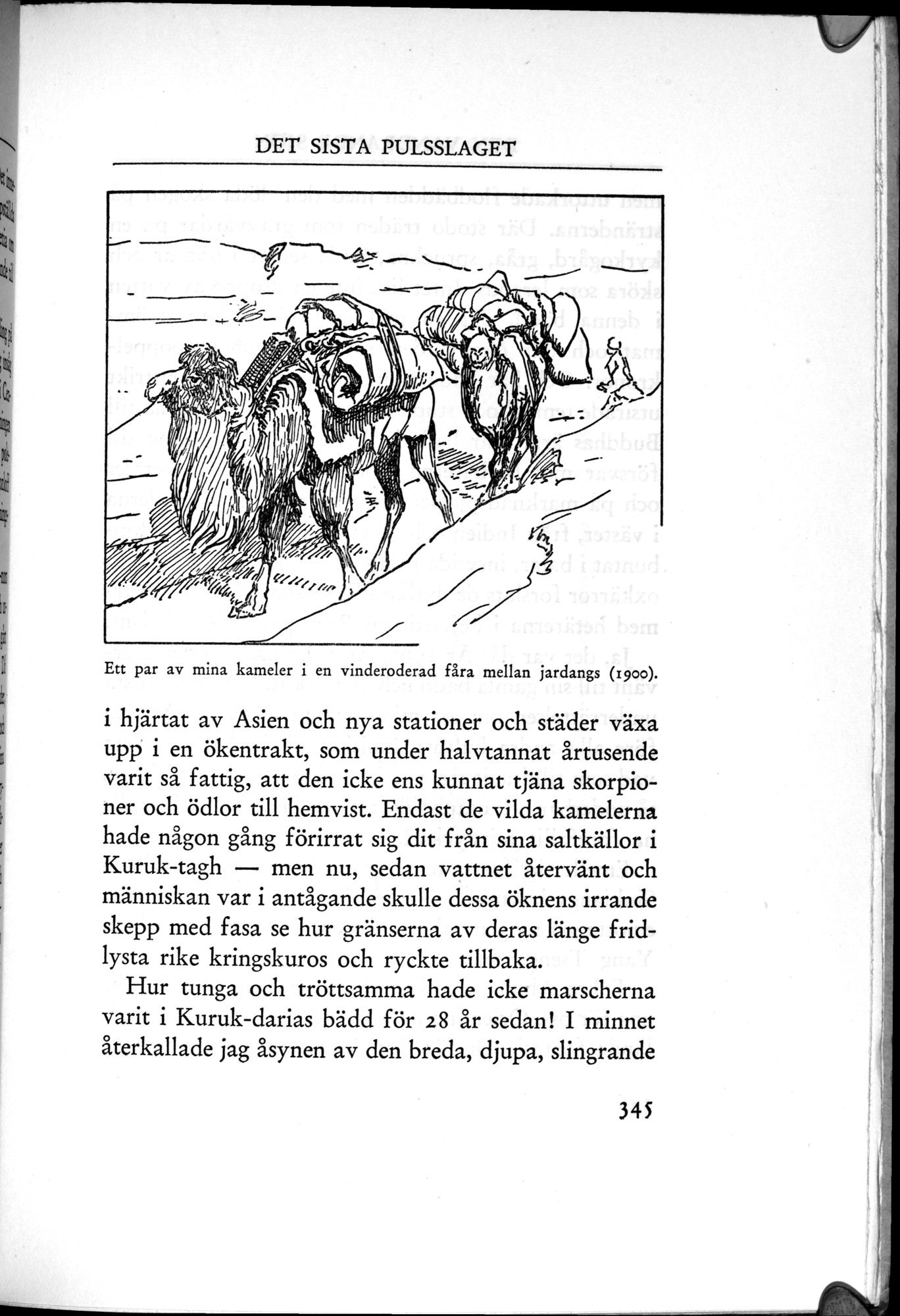 Den Vandrande Sjön : vol.1 / 433 ページ（白黒高解像度画像）