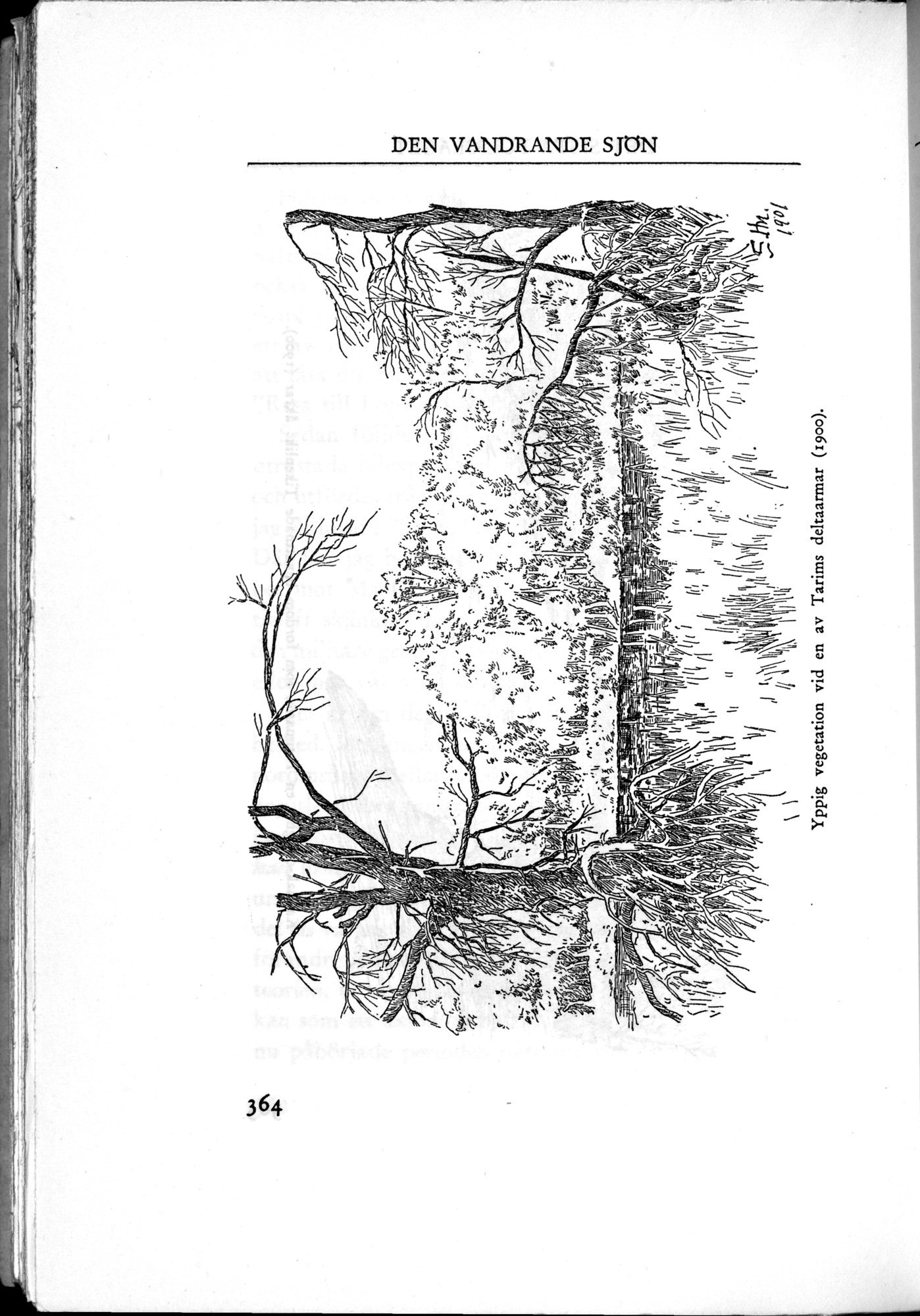 Den Vandrande Sjön : vol.1 / Page 452 (Grayscale High Resolution Image)