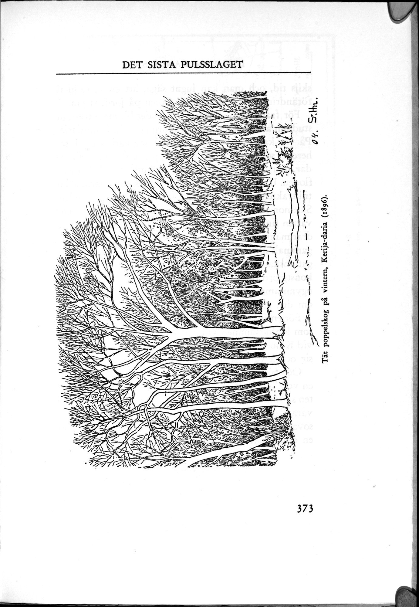 Den Vandrande Sjön : vol.1 / Page 461 (Grayscale High Resolution Image)