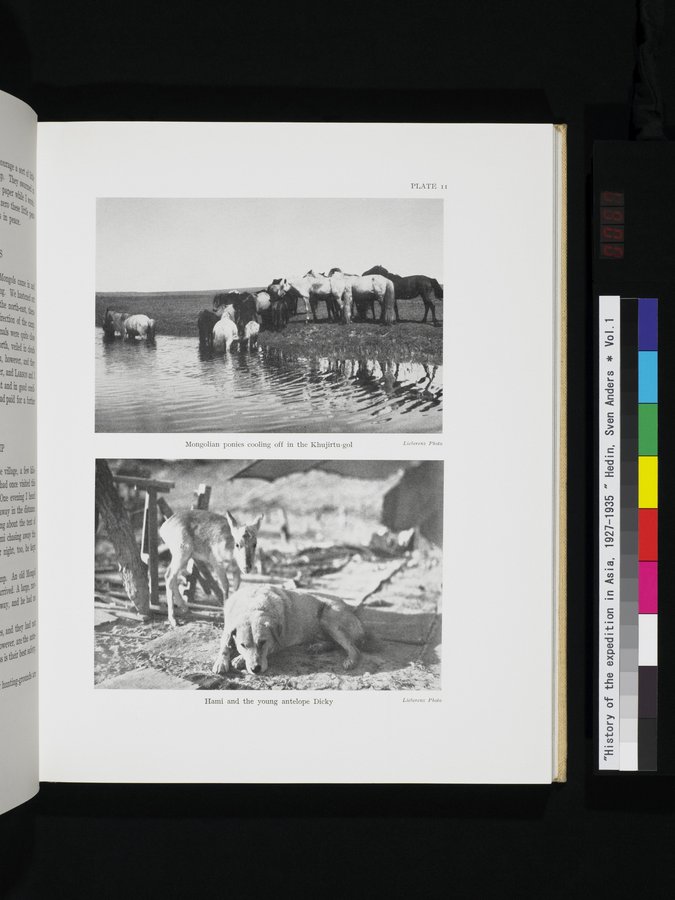 History of the expedition in Asia, 1927-1935 : vol.1 / 133 ページ（カラー画像）