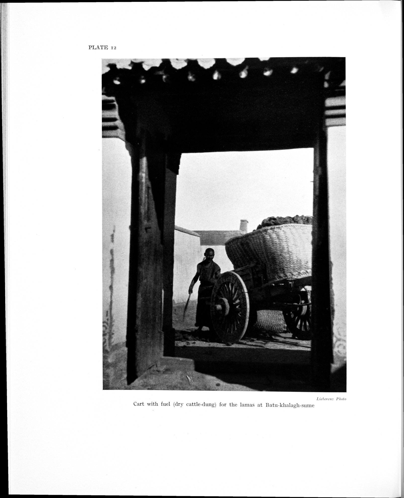 History of the expedition in Asia, 1927-1935 : vol.1 / 134 ページ（白黒高解像度画像）