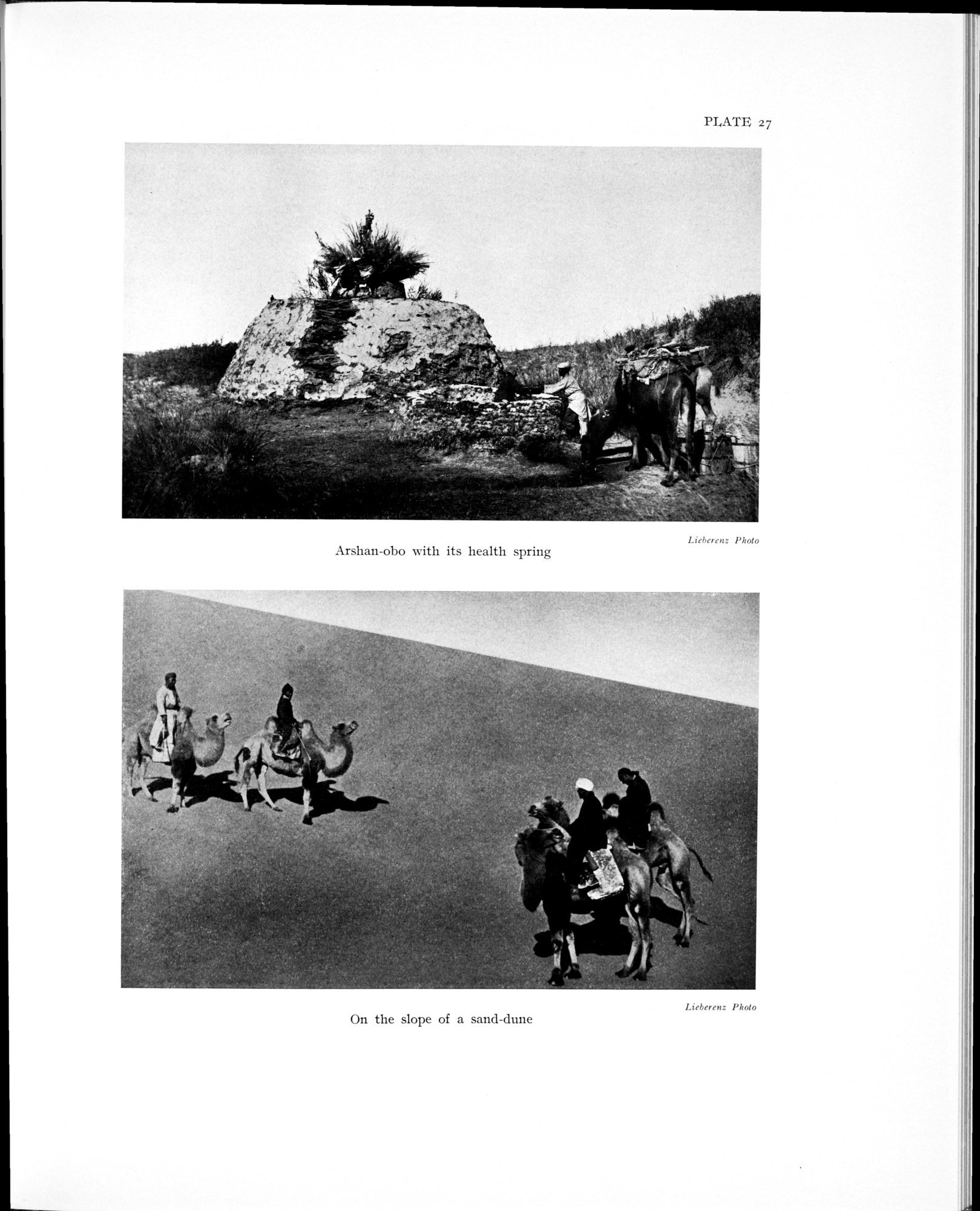 History of the expedition in Asia, 1927-1935 : vol.1 / 209 ページ（白黒高解像度画像）