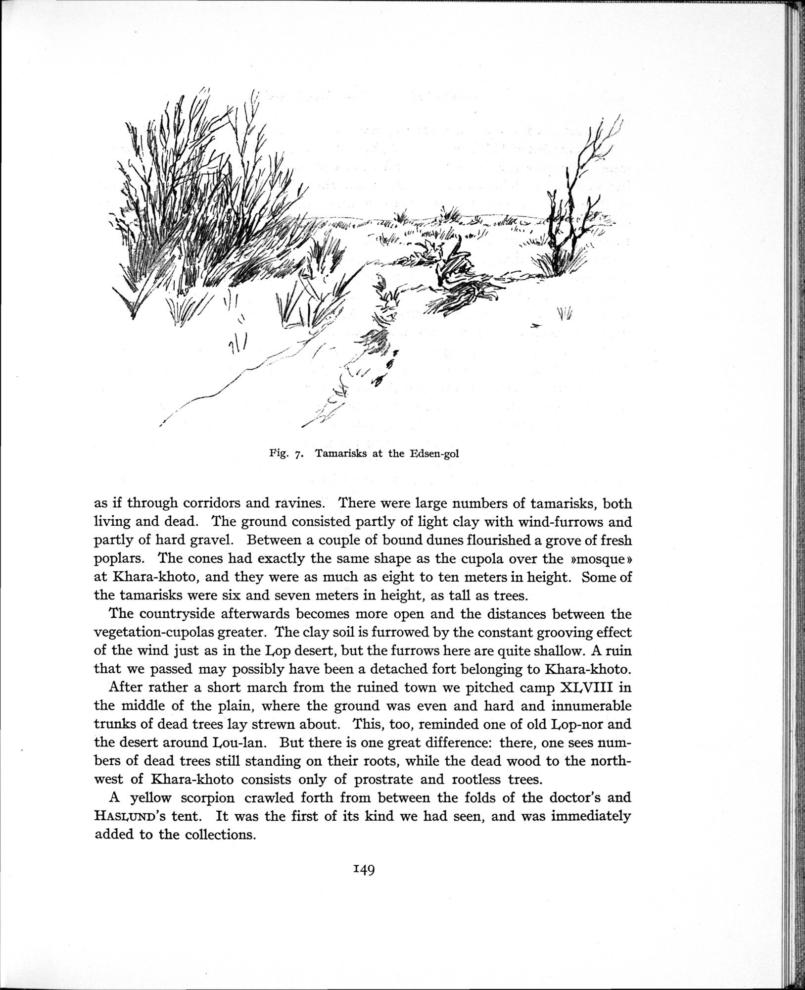 History of the Expedition in Asia, 1927-1935 : vol.1 / Page 215 (Grayscale High Resolution Image)