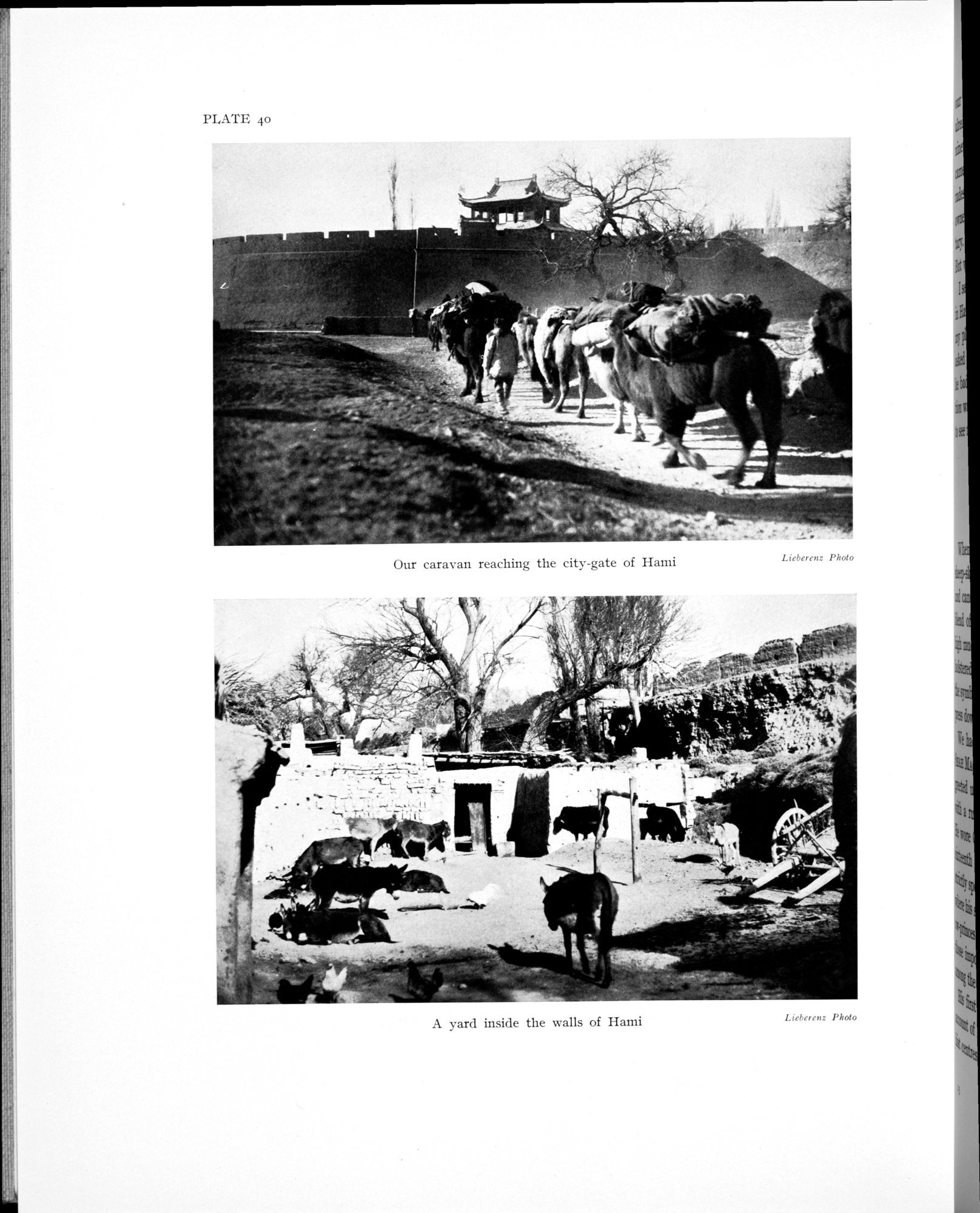 History of the expedition in Asia, 1927-1935 : vol.1 / 302 ページ（白黒高解像度画像）