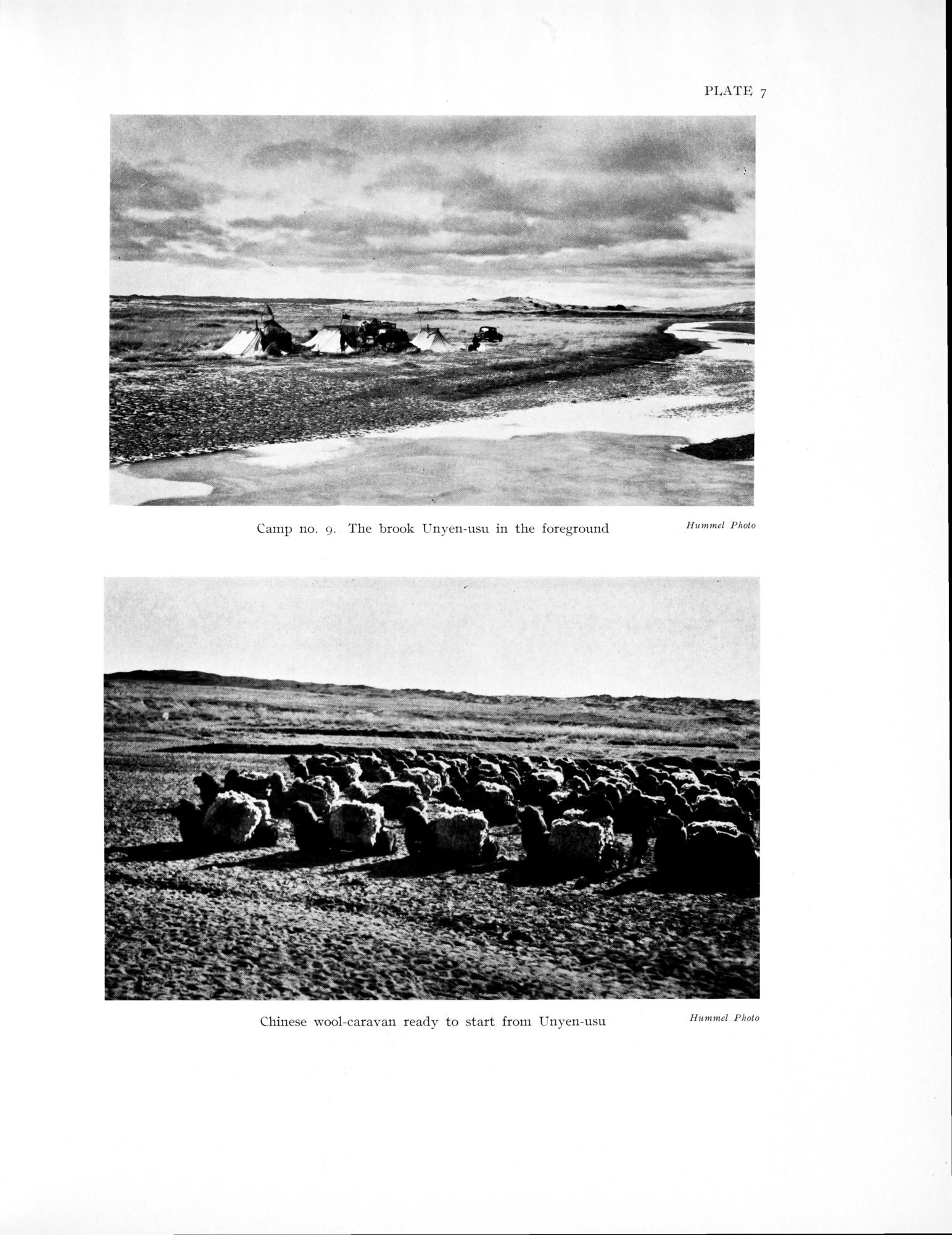 History of the Expedition in Asia, 1927-1935 : vol.3 / Page 51 (Grayscale High Resolution Image)