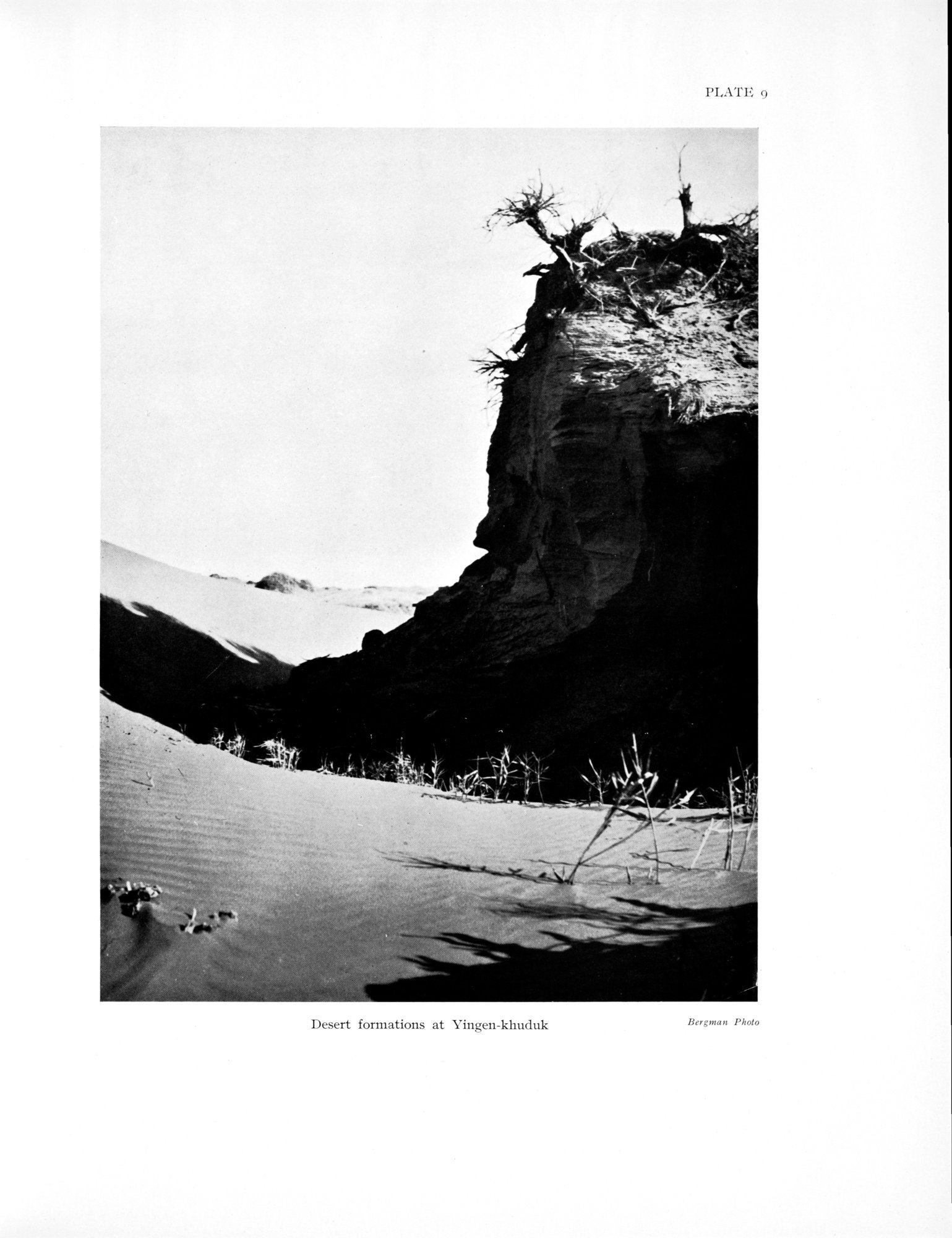 History of the Expedition in Asia, 1927-1935 : vol.3 / Page 61 (Grayscale High Resolution Image)