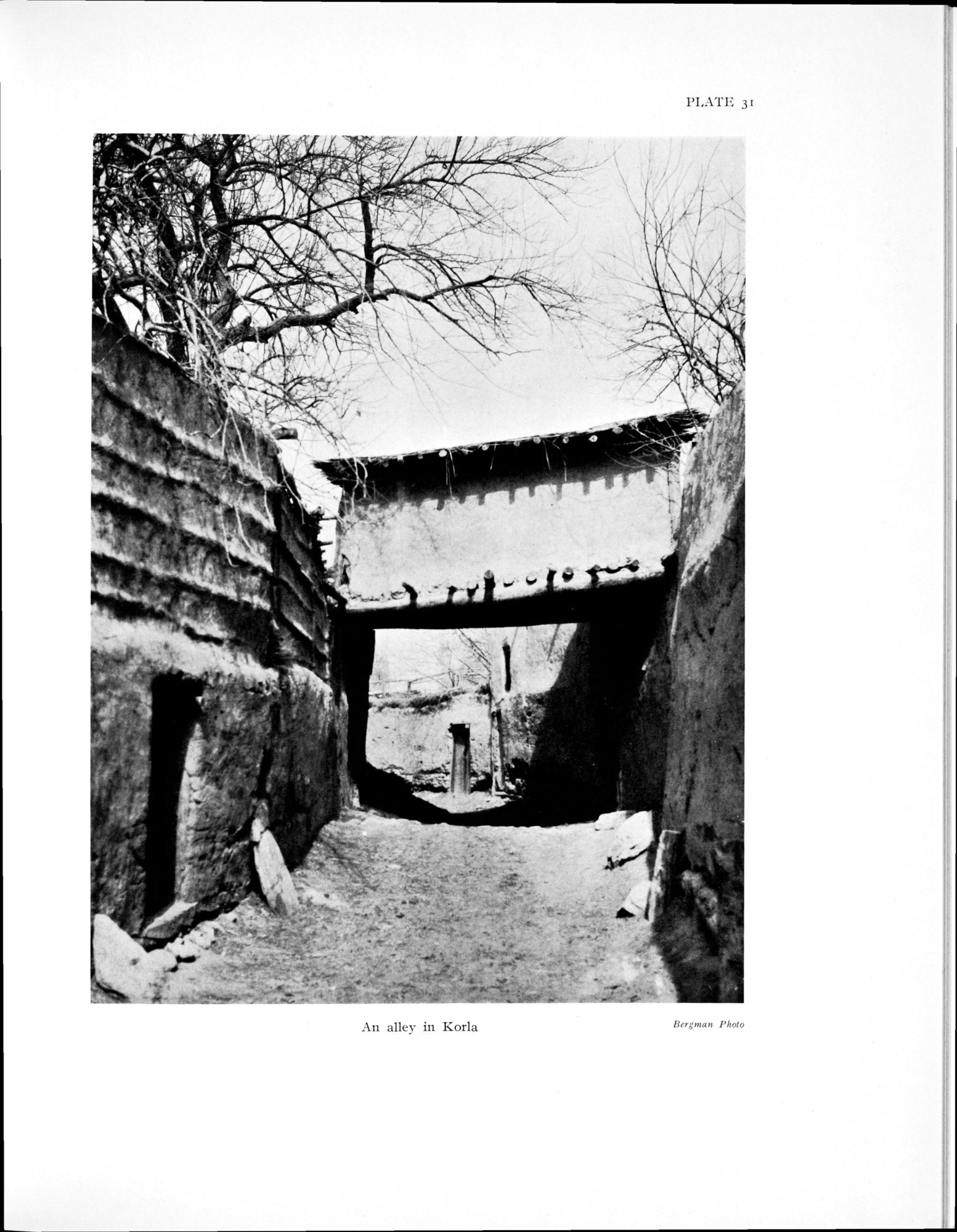 History of the expedition in Asia, 1927-1935 : vol.3 / 183 ページ（白黒高解像度画像）