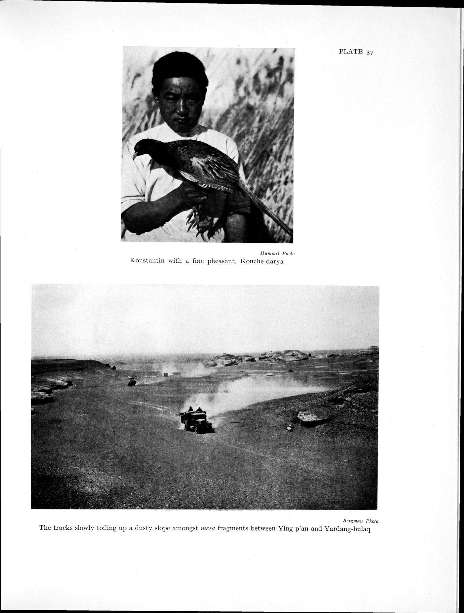 History of the Expedition in Asia, 1927-1935 : vol.3 / Page 217 (Grayscale High Resolution Image)