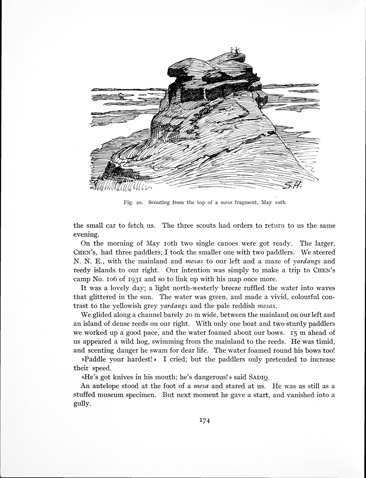 History of the Expedition in Asia, 1927-1935 : vol.3 / Page 236 (Grayscale High Resolution Image)