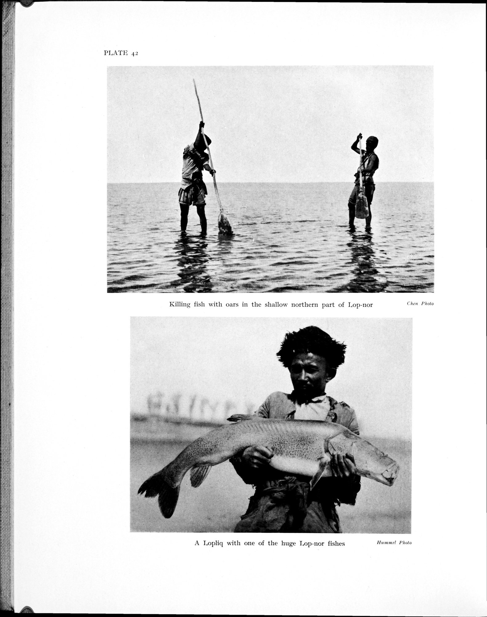 History of the Expedition in Asia, 1927-1935 : vol.3 / Page 246 (Grayscale High Resolution Image)
