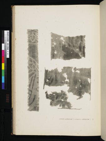 西域考古図譜 : vol.1 : Page 181