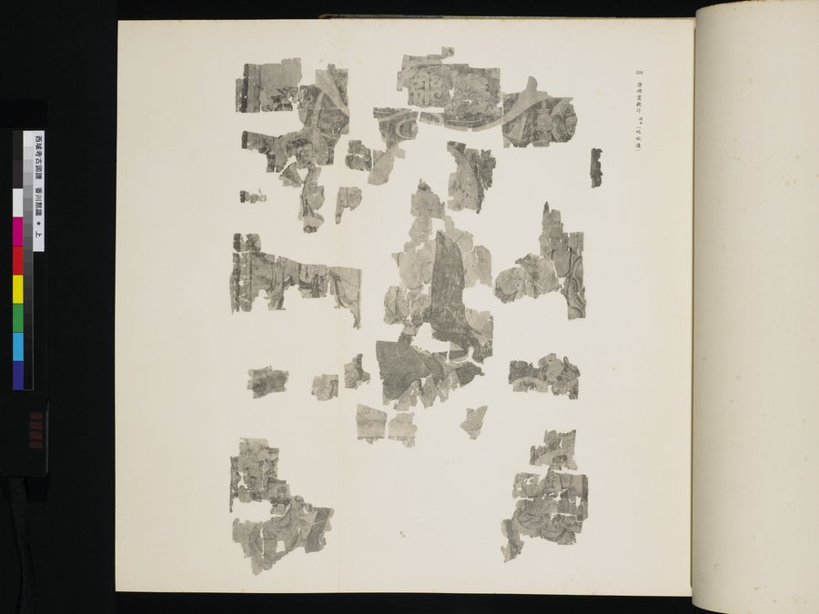 西域考古図譜 : vol.1 / 69 ページ（カラー画像）