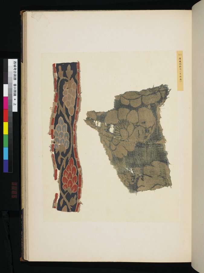 西域考古図譜 : vol.1 / Page 171 (Color Image)