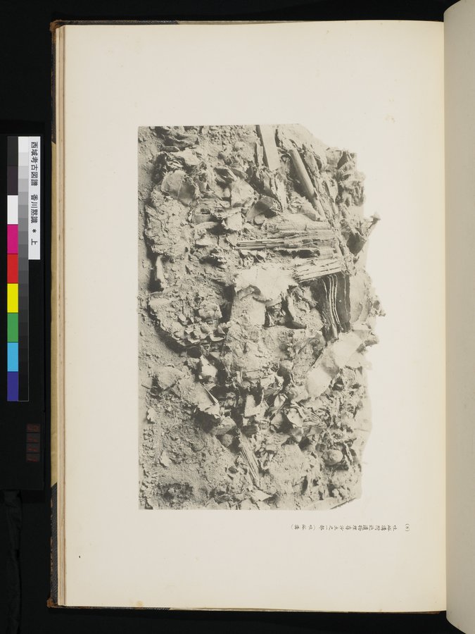 西域考古図譜 : vol.1 / 223 ページ（カラー画像）