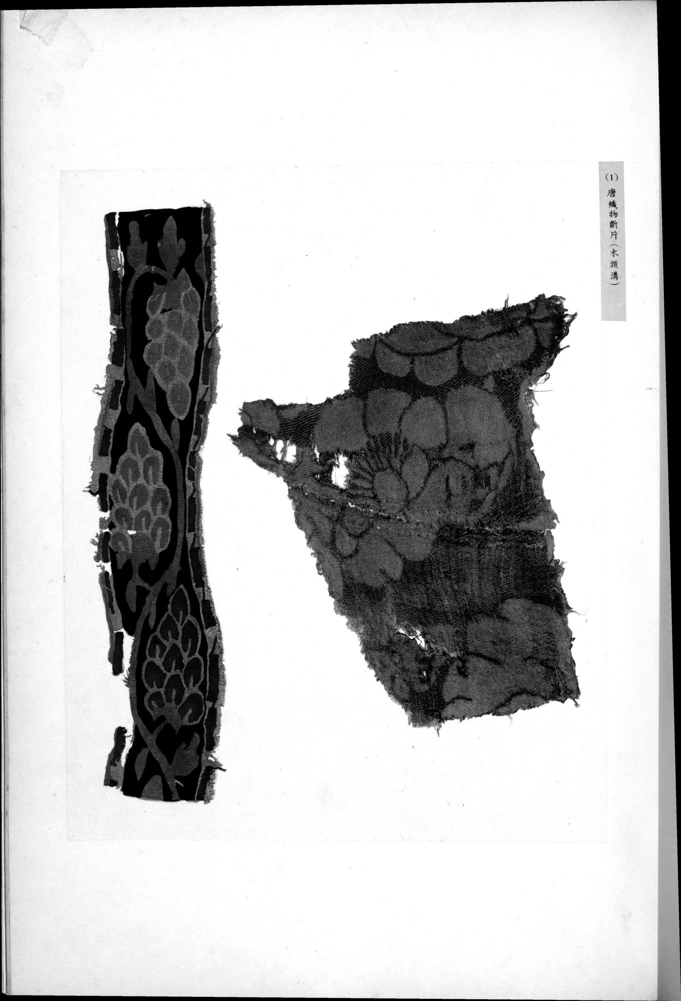 西域考古図譜 : vol.1 / 171 ページ（白黒高解像度画像）