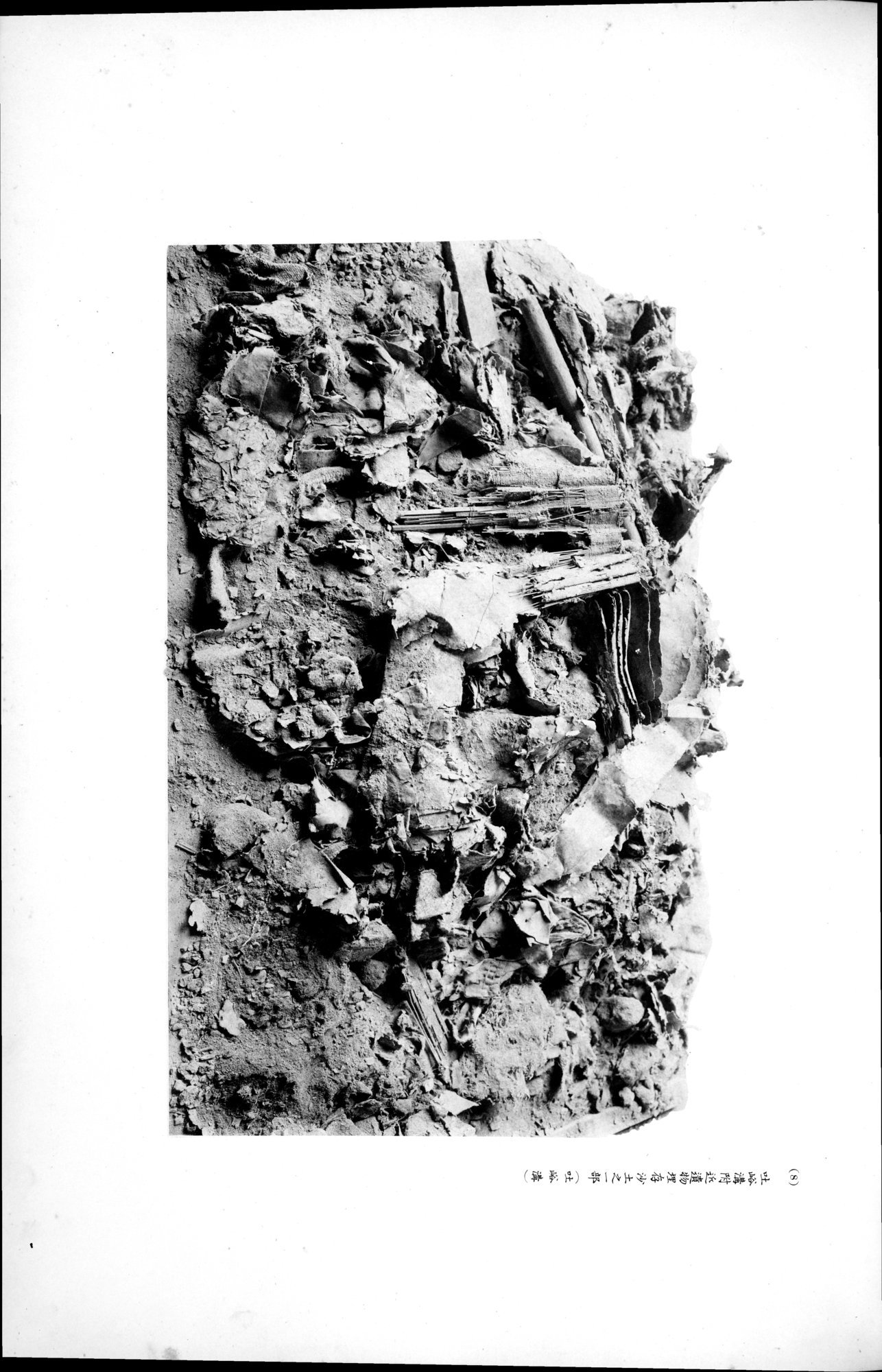 西域考古図譜 : vol.1 / 223 ページ（白黒高解像度画像）