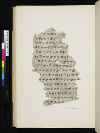 西域考古図譜 : vol.2 : Page 89