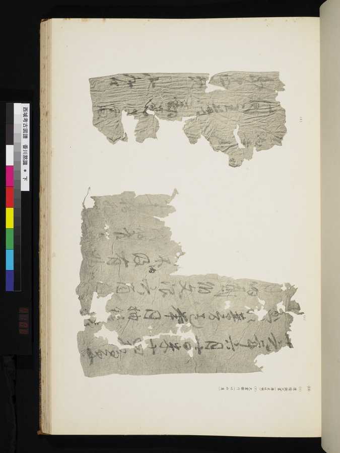 西域考古図譜 : vol.2 / 199 ページ（カラー画像）