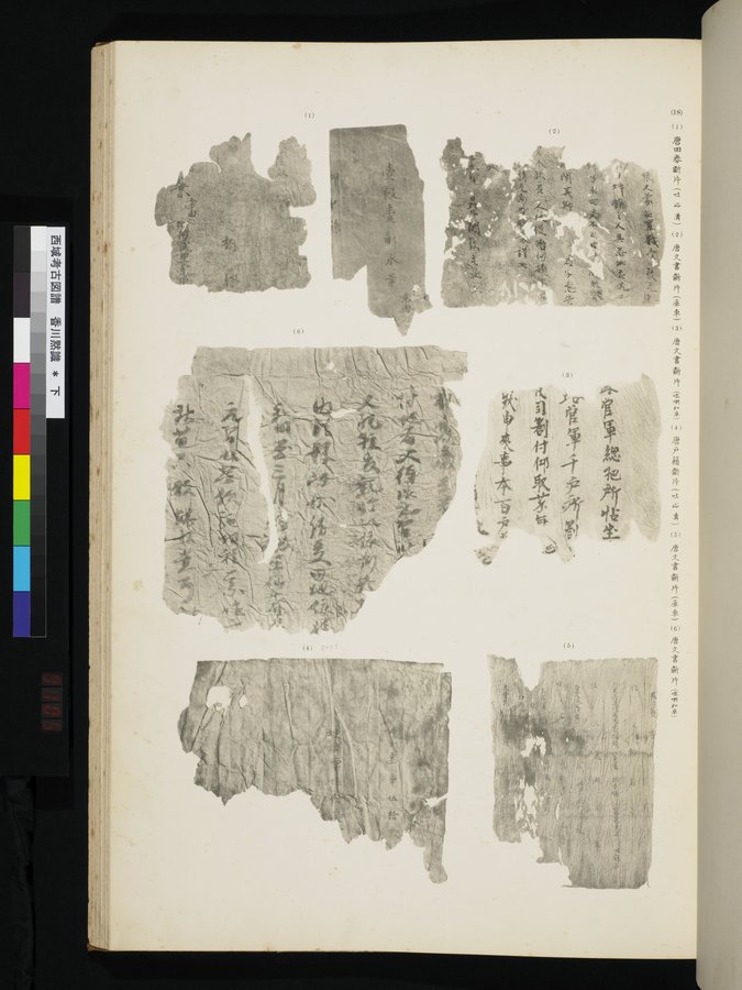 西域考古図譜 : vol.2 / 209 ページ（カラー画像）