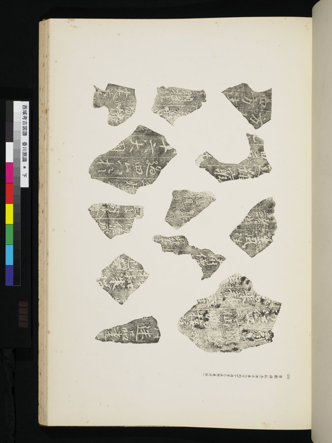 西域考古図譜 : vol.2 / 223 ページ（カラー画像）