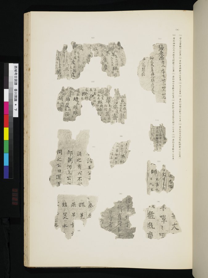 西域考古図譜 : vol.2 / 245 ページ（カラー画像）