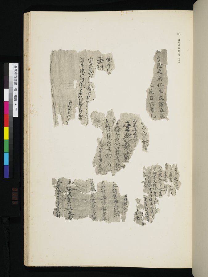 西域考古図譜 : vol.2 / 247 ページ（カラー画像）