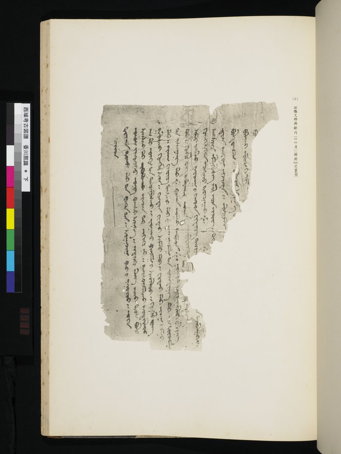 西域考古図譜 : vol.2 / Page 263 (Color Image)