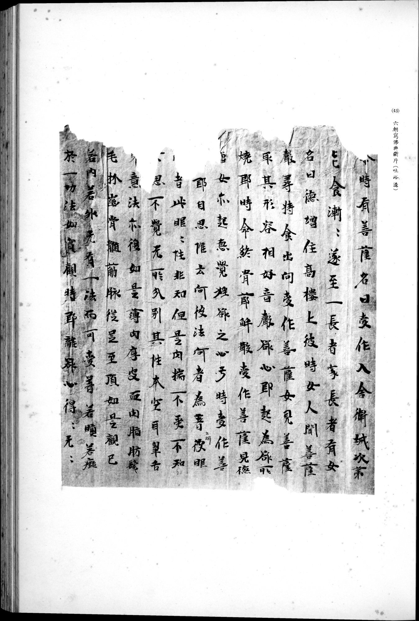 西域考古図譜 : vol.2 / 101 ページ（白黒高解像度画像）