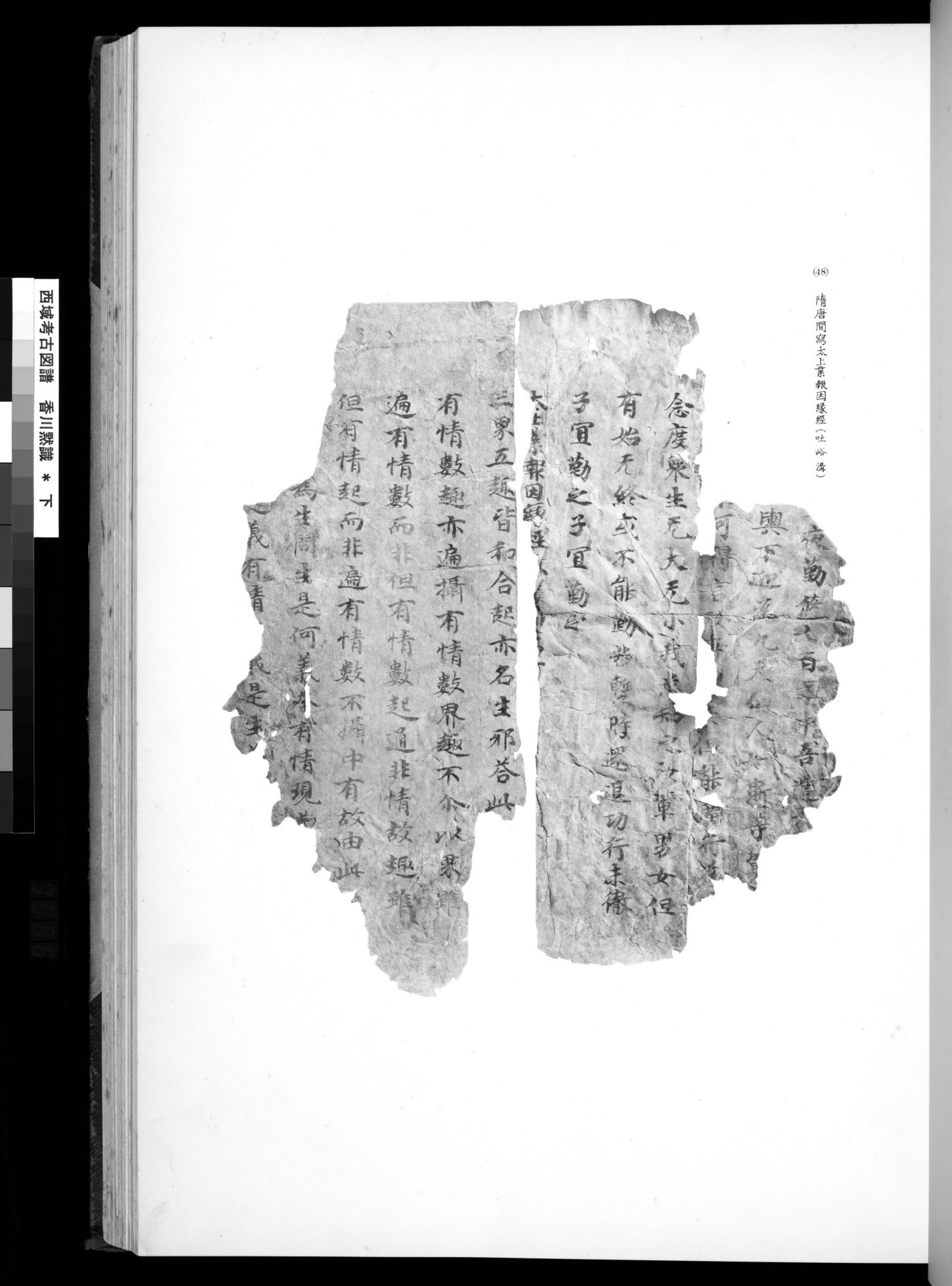 西域考古図譜 : vol.2 / 111 ページ（白黒高解像度画像）