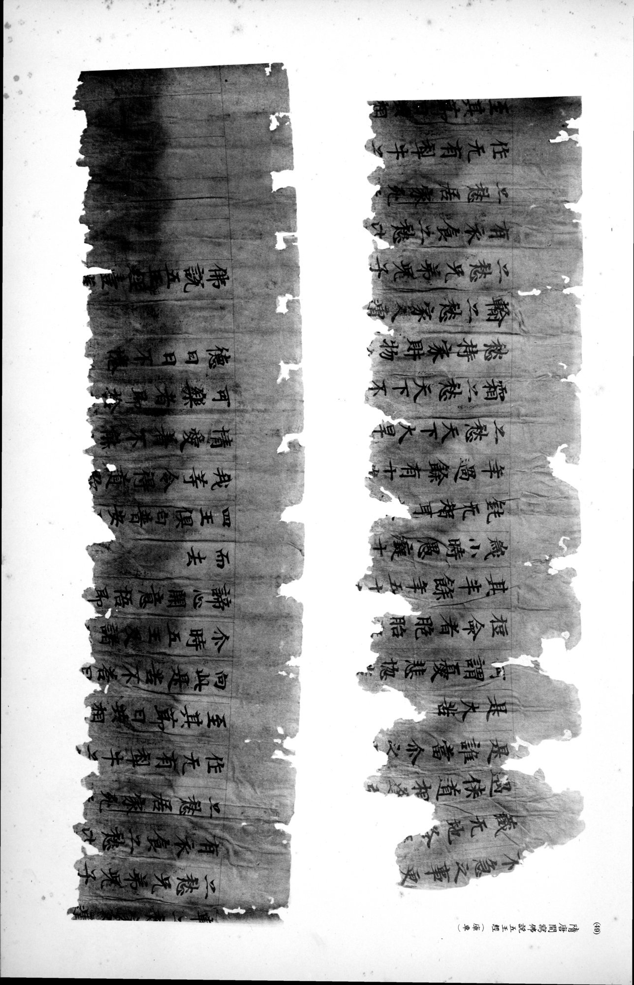 西域考古図譜 : vol.2 / 113 ページ（白黒高解像度画像）