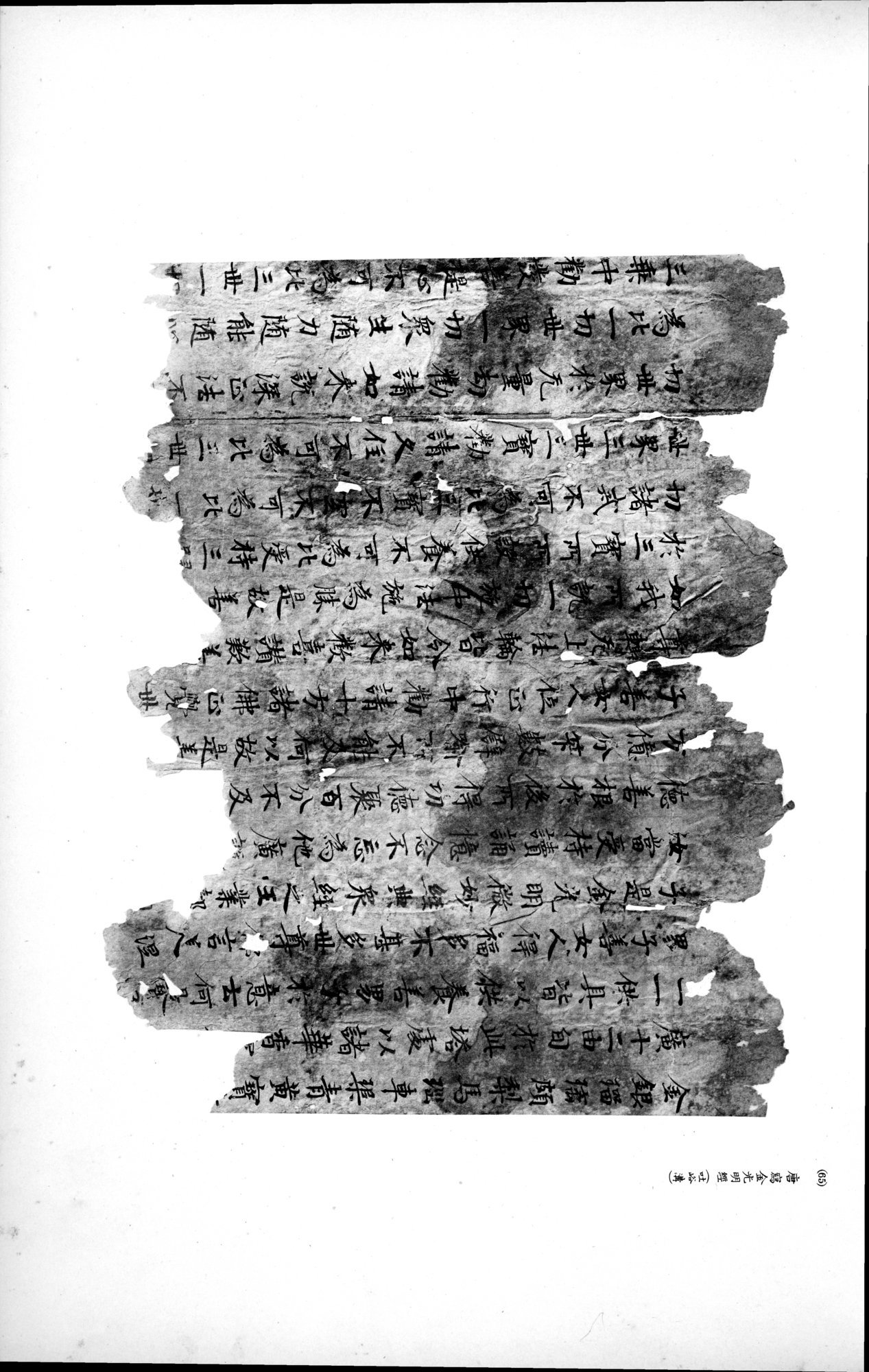 西域考古図譜 : vol.2 / 145 ページ（白黒高解像度画像）