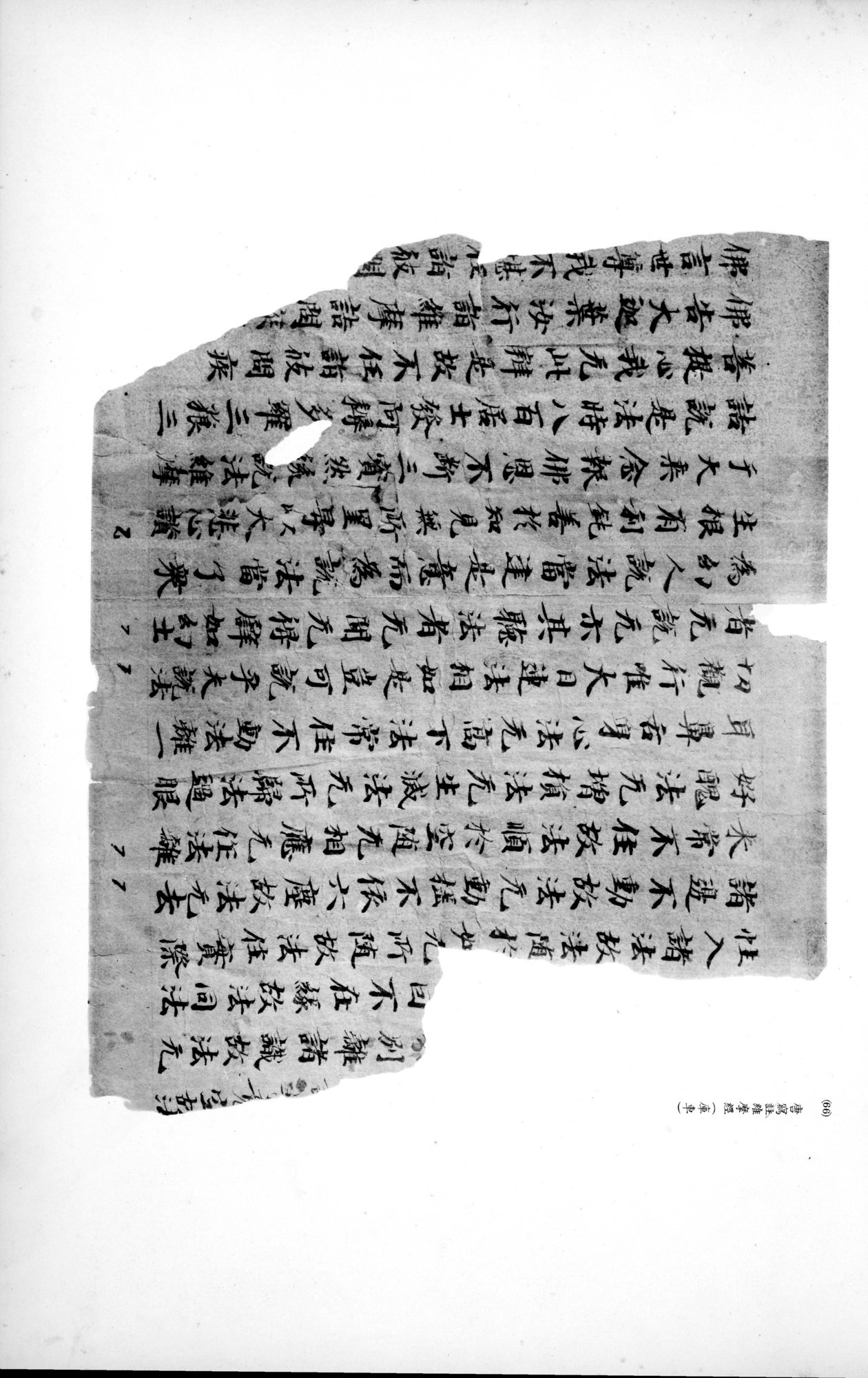 西域考古図譜 : vol.2 / 147 ページ（白黒高解像度画像）