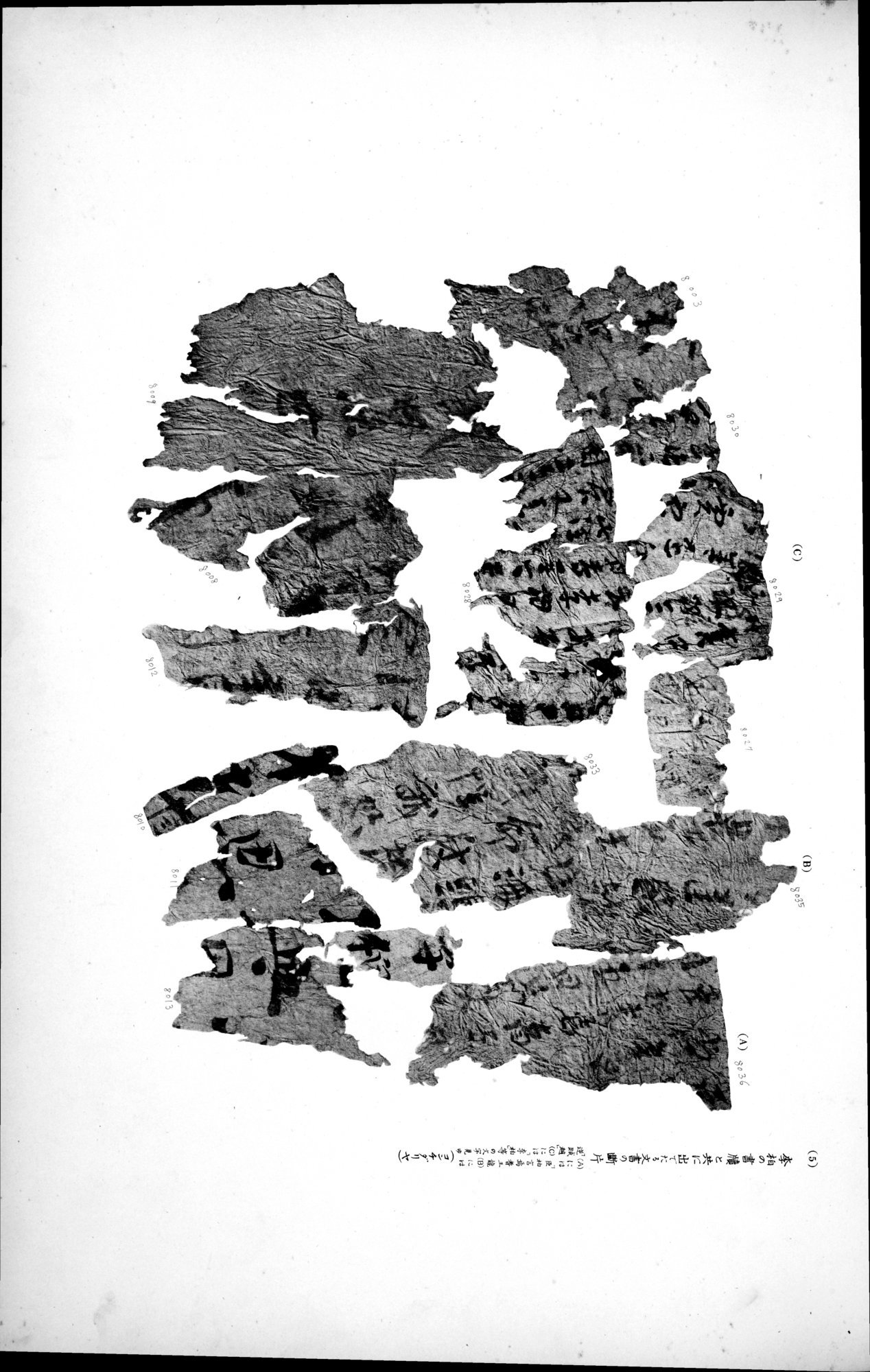 西域考古図譜 : vol.2 / 183 ページ（白黒高解像度画像）