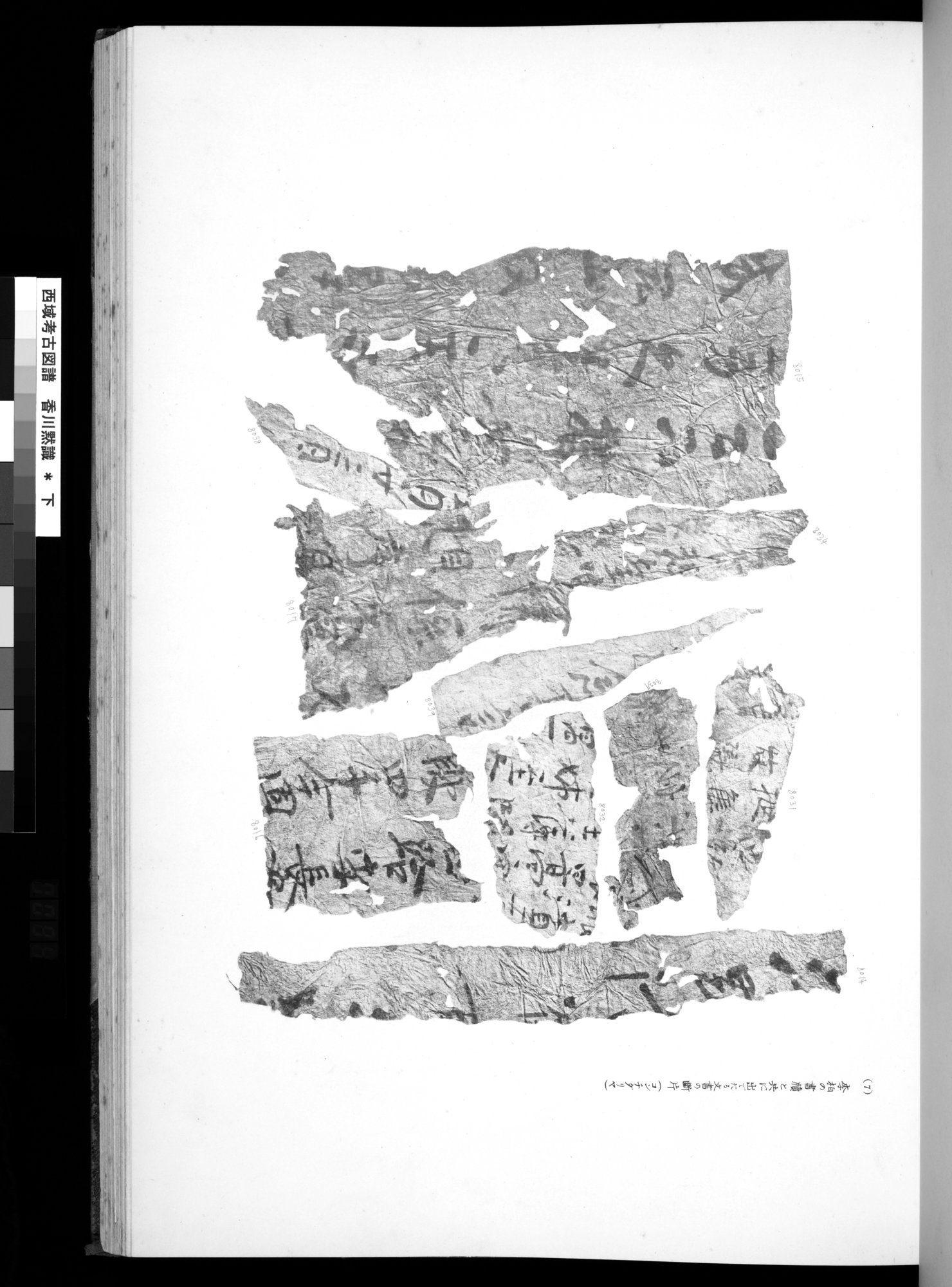 西域考古図譜 : vol.2 / Page 187 (Grayscale High Resolution Image)