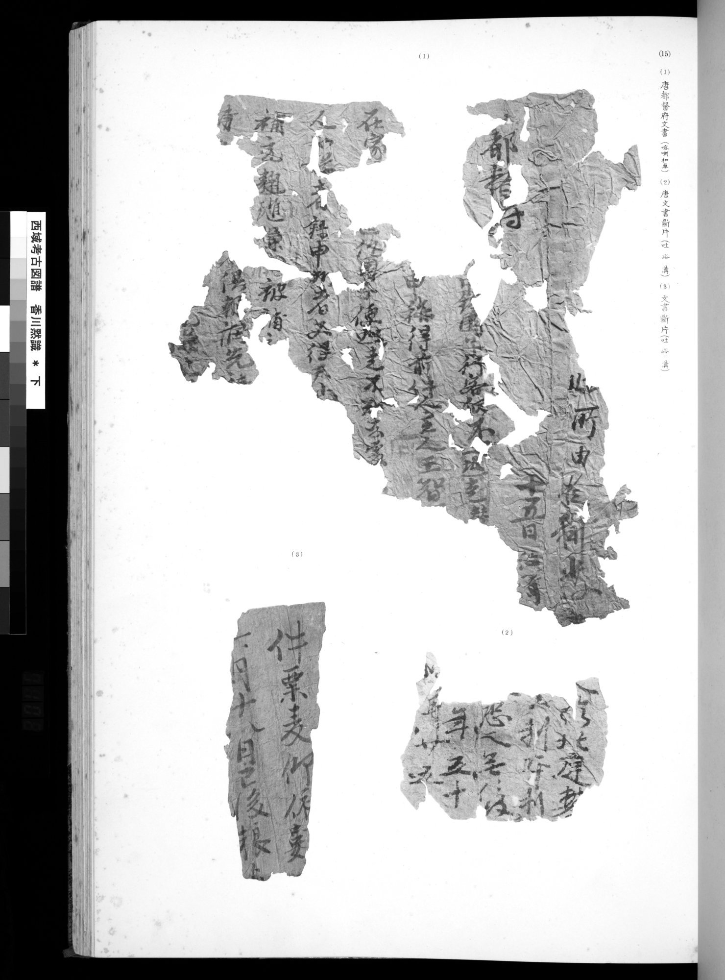 西域考古図譜 : vol.2 / 203 ページ（白黒高解像度画像）