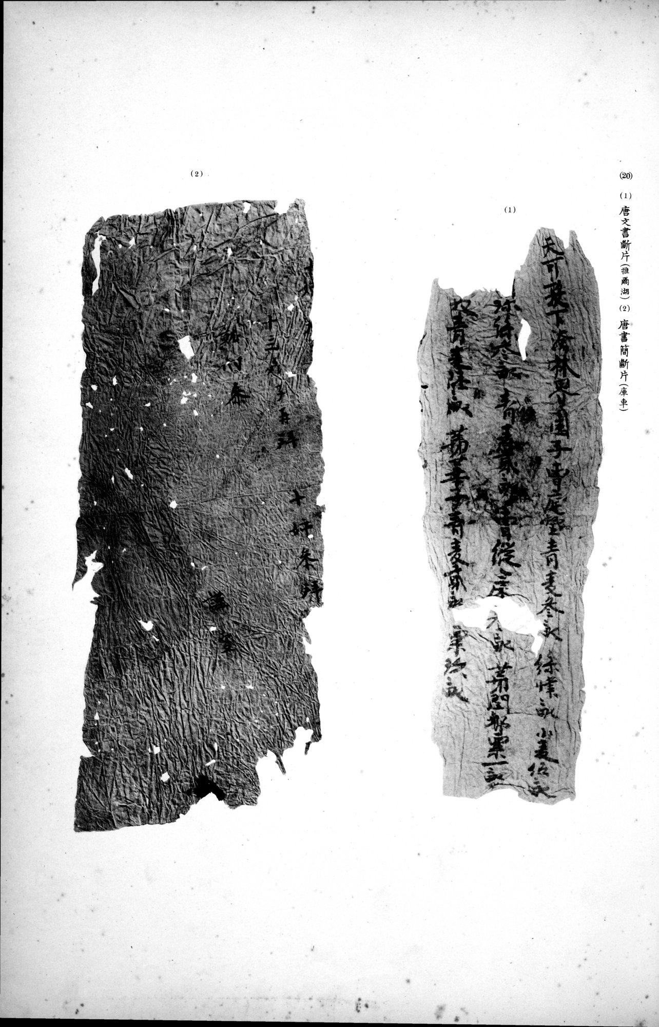 西域考古図譜 : vol.2 / 213 ページ（白黒高解像度画像）