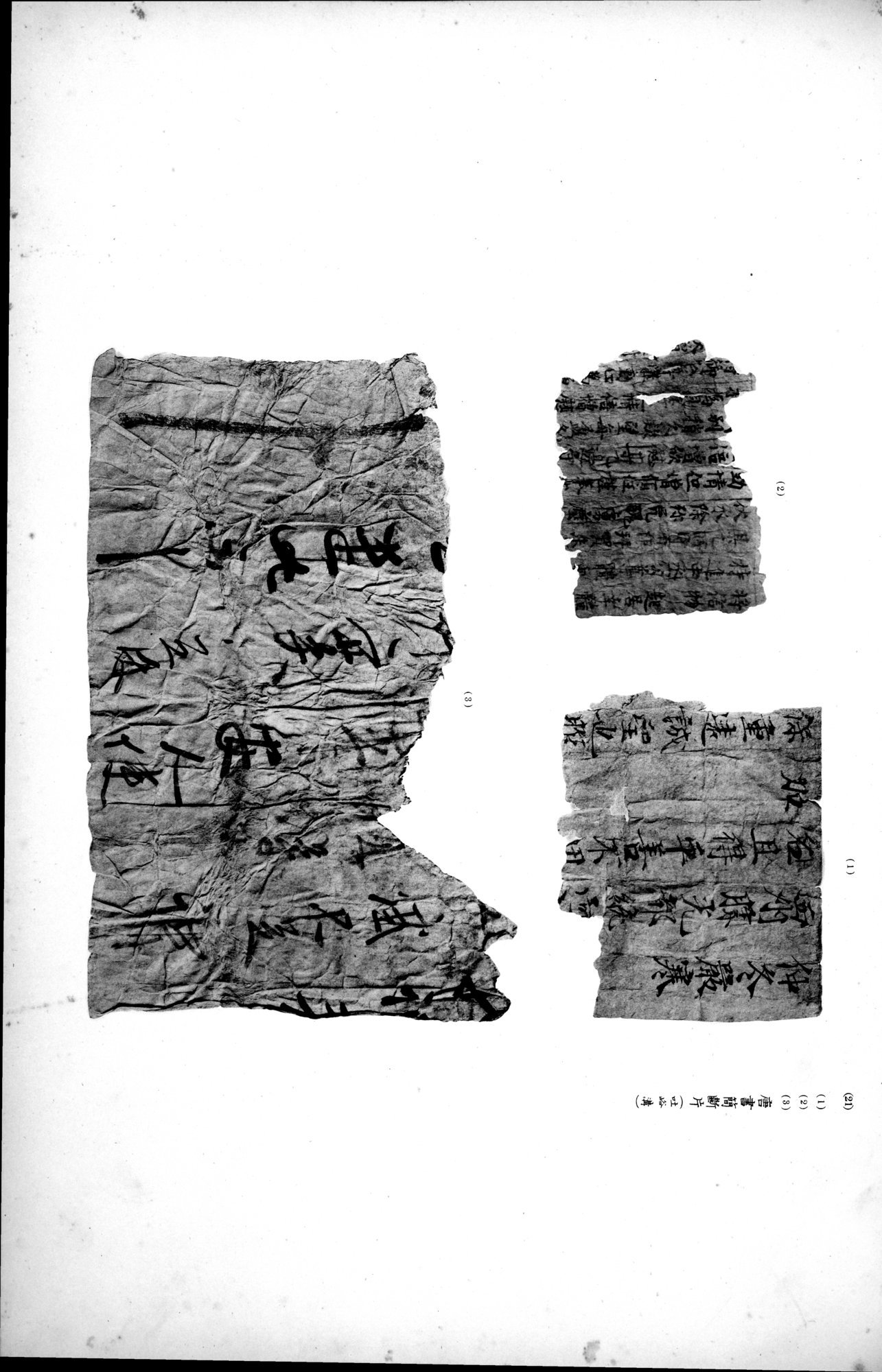 西域考古図譜 : vol.2 / 215 ページ（白黒高解像度画像）