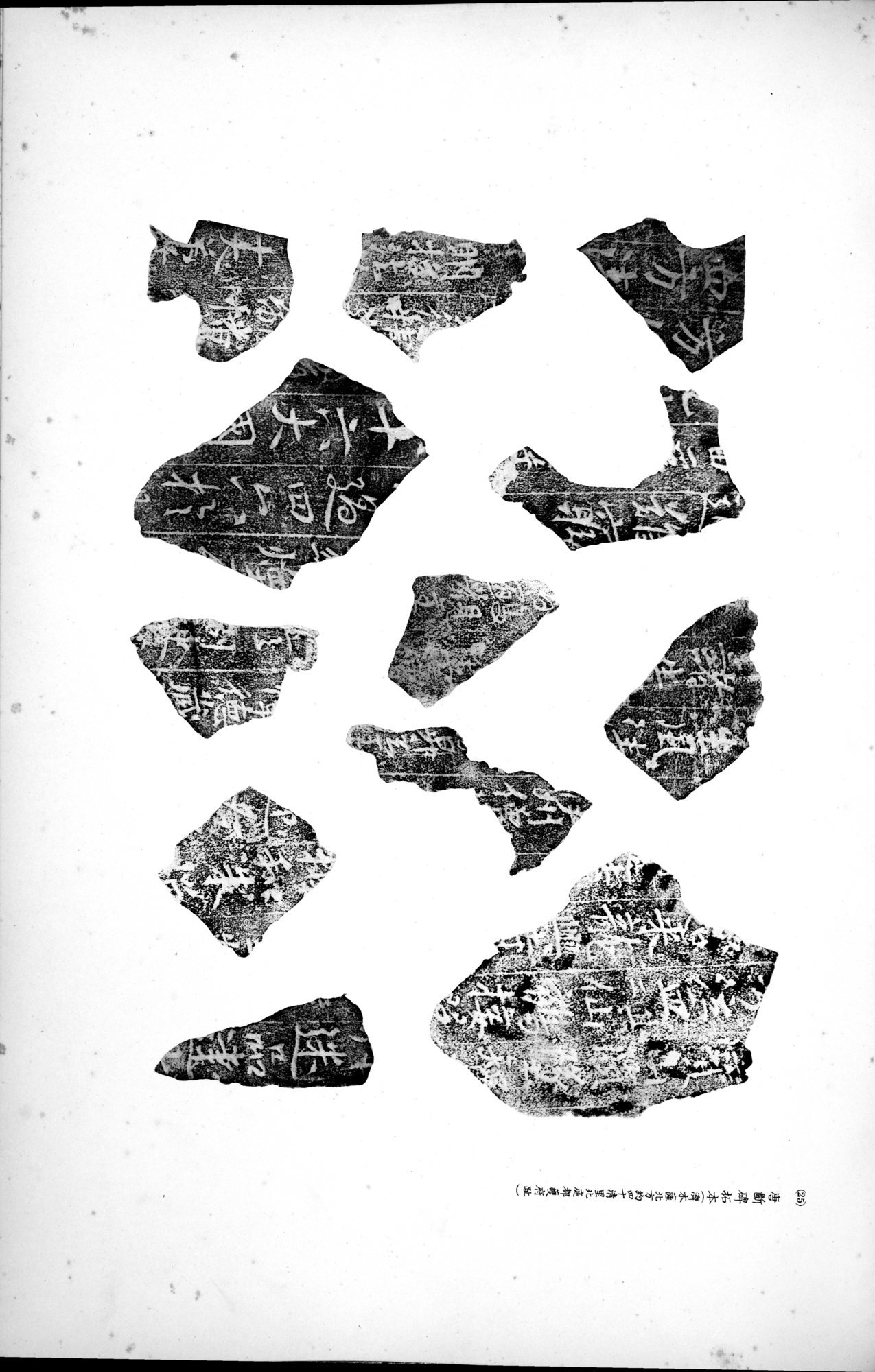 西域考古図譜 : vol.2 / 223 ページ（白黒高解像度画像）