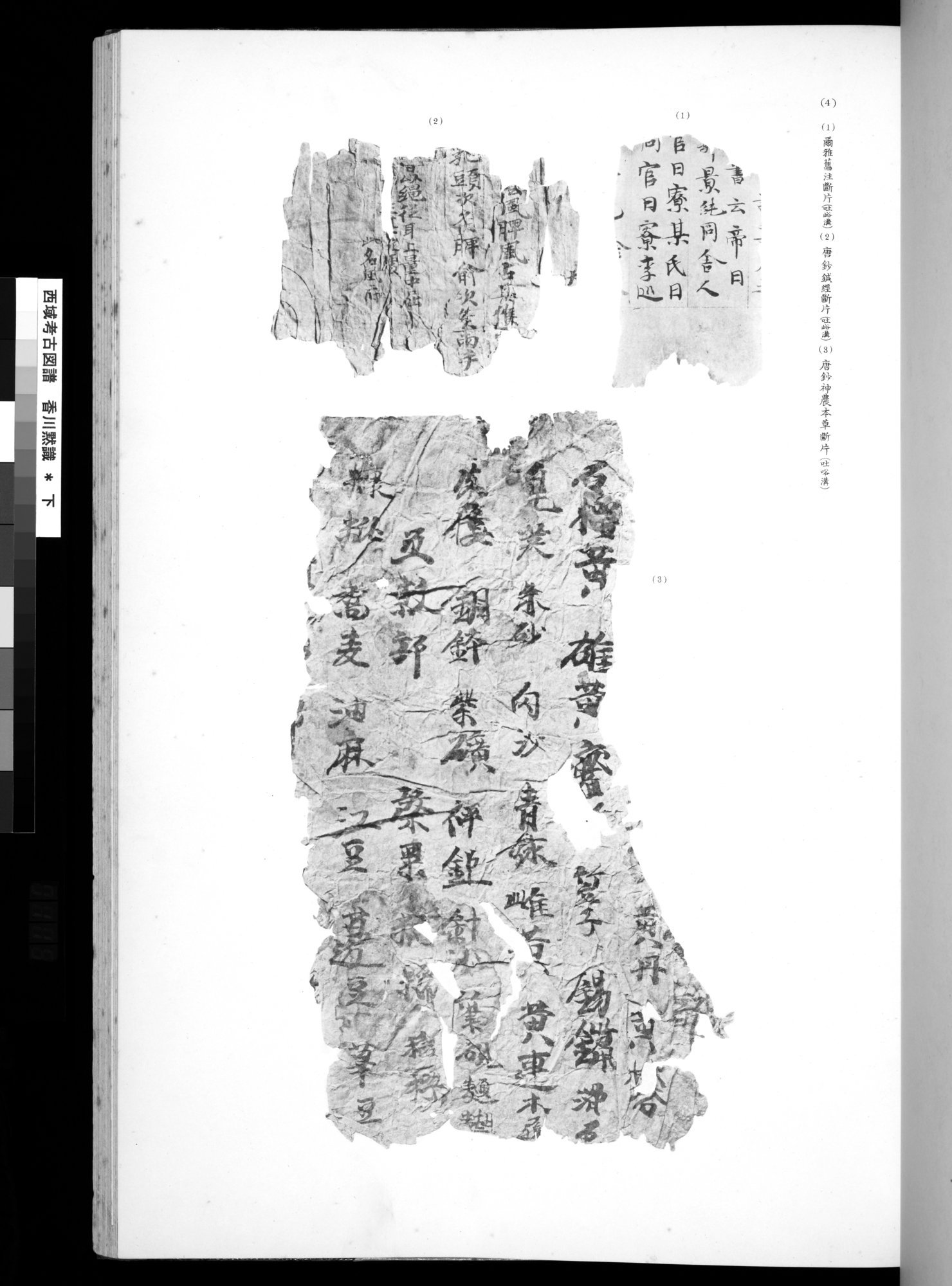 西域考古図譜 : vol.2 / 237 ページ（白黒高解像度画像）